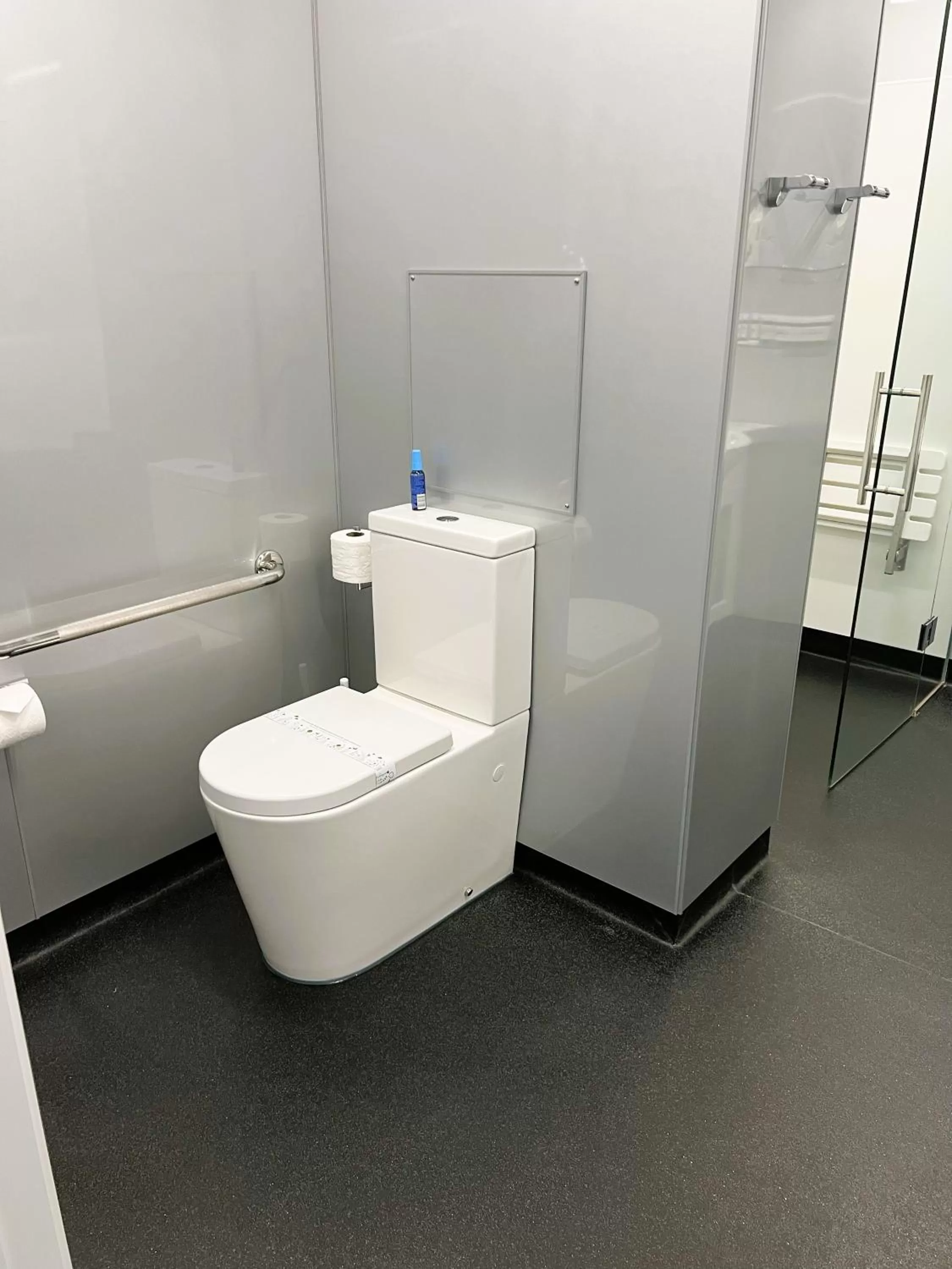 Toilet in Fiordland Lakeview Motel and Apartments