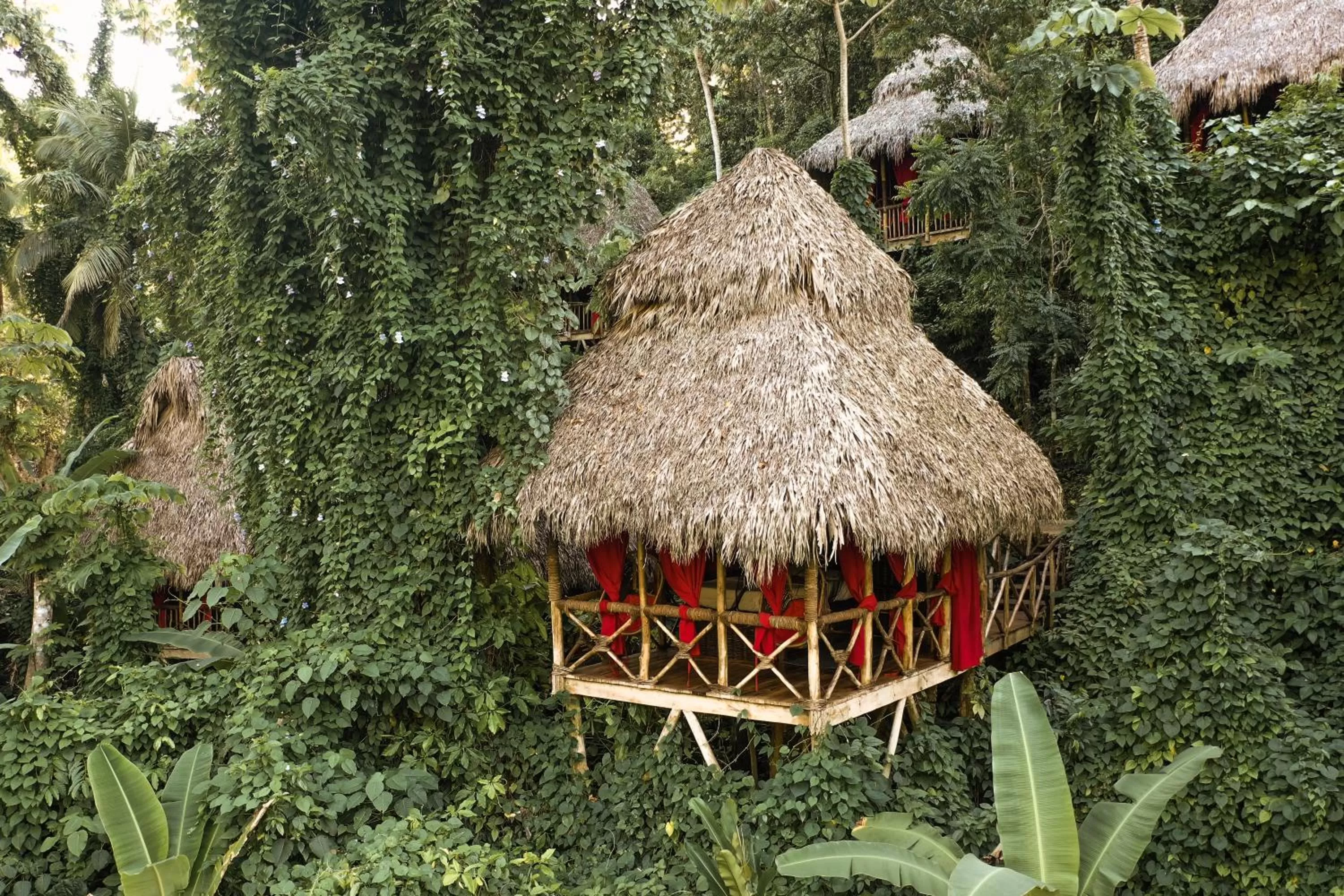 Natural landscape in Dominican Tree House Village