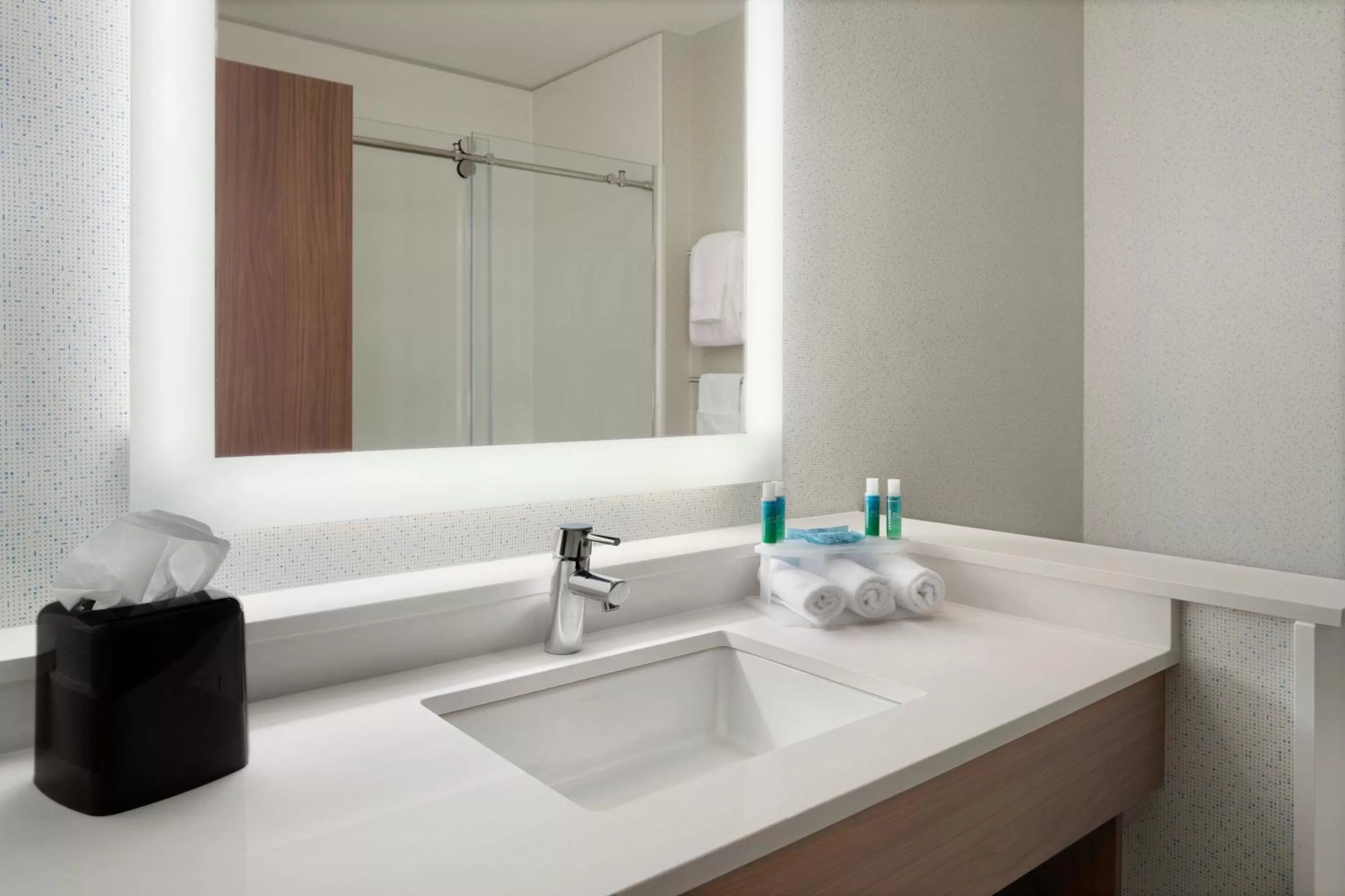 King Room - Hearing Accessible in Holiday Inn Express & Suites Duluth North - Miller Hill, an IHG Hotel