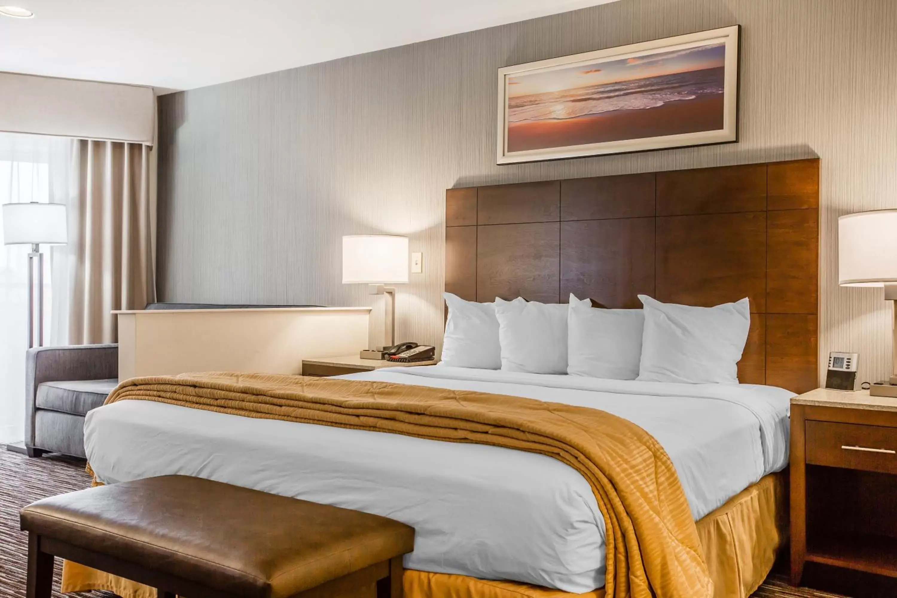 King Room - Disability Access/Non-Smoking in Quality Inn & Suites Hermosa Beach King Room - Disability Access/Non-Smoking in Quality Inn & Suites Hermosa Beach