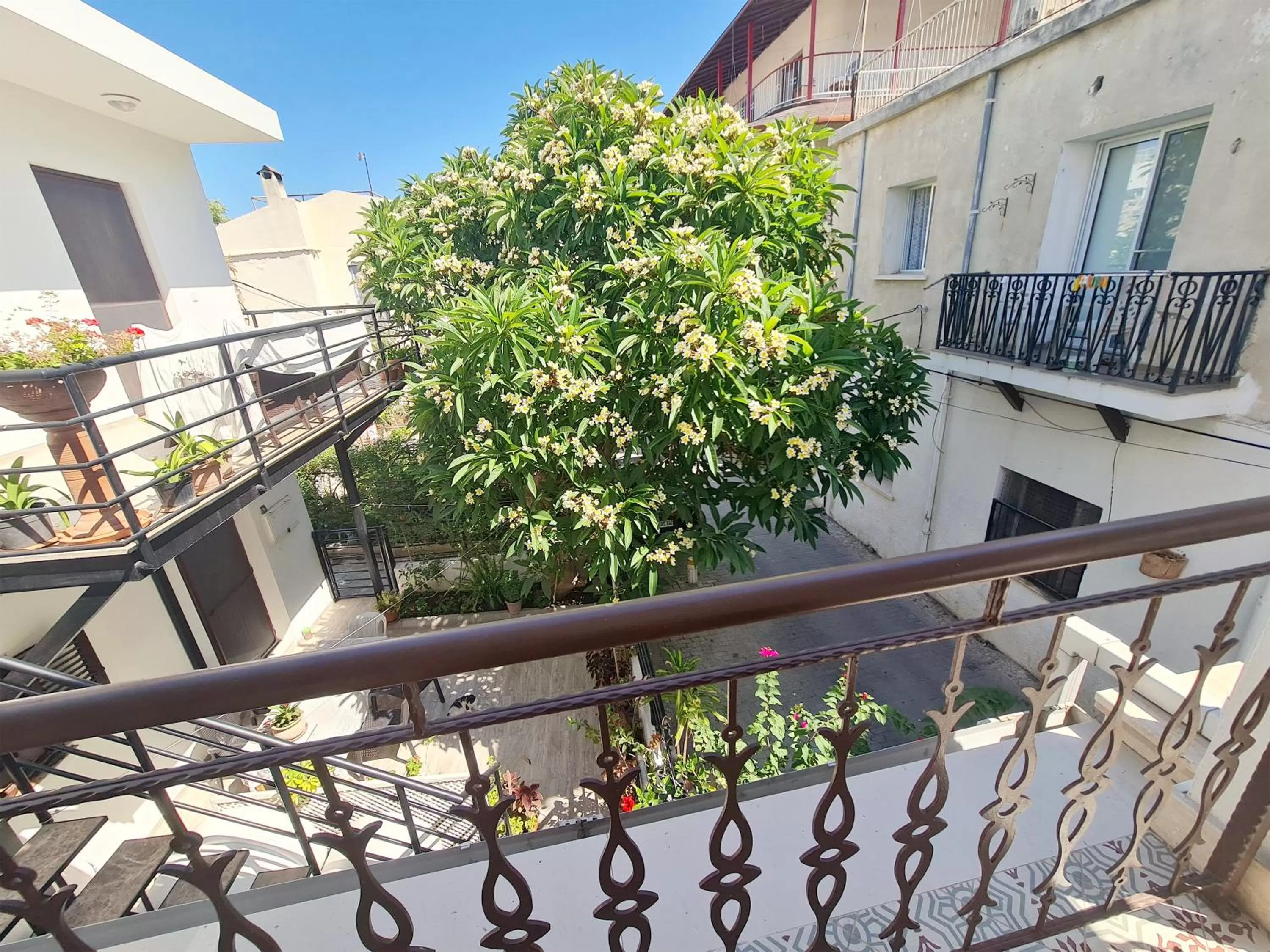 Day in SOFIA BOUTIQUE HOTEL