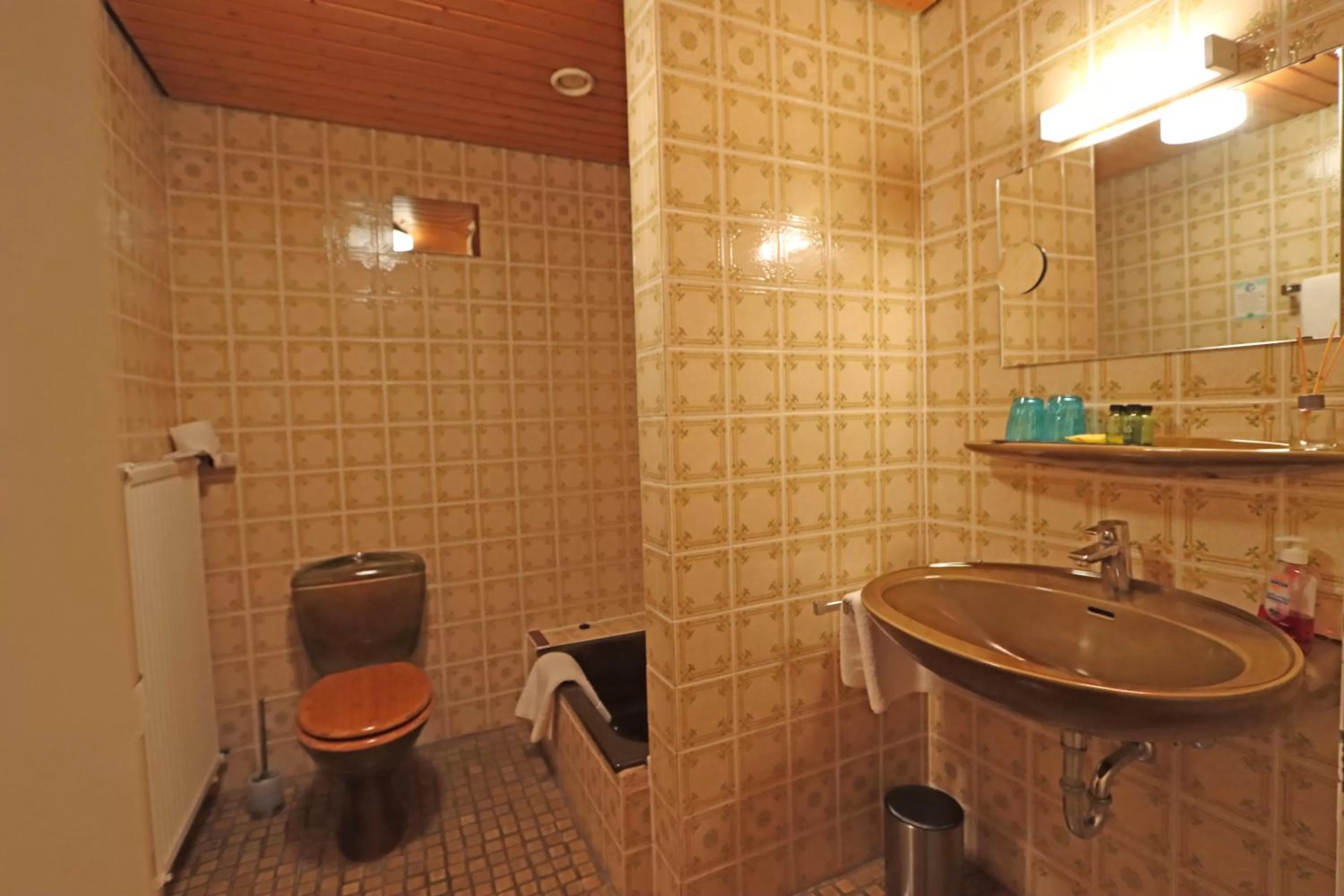 Shower in Hotel Kreuz Höhengasthof