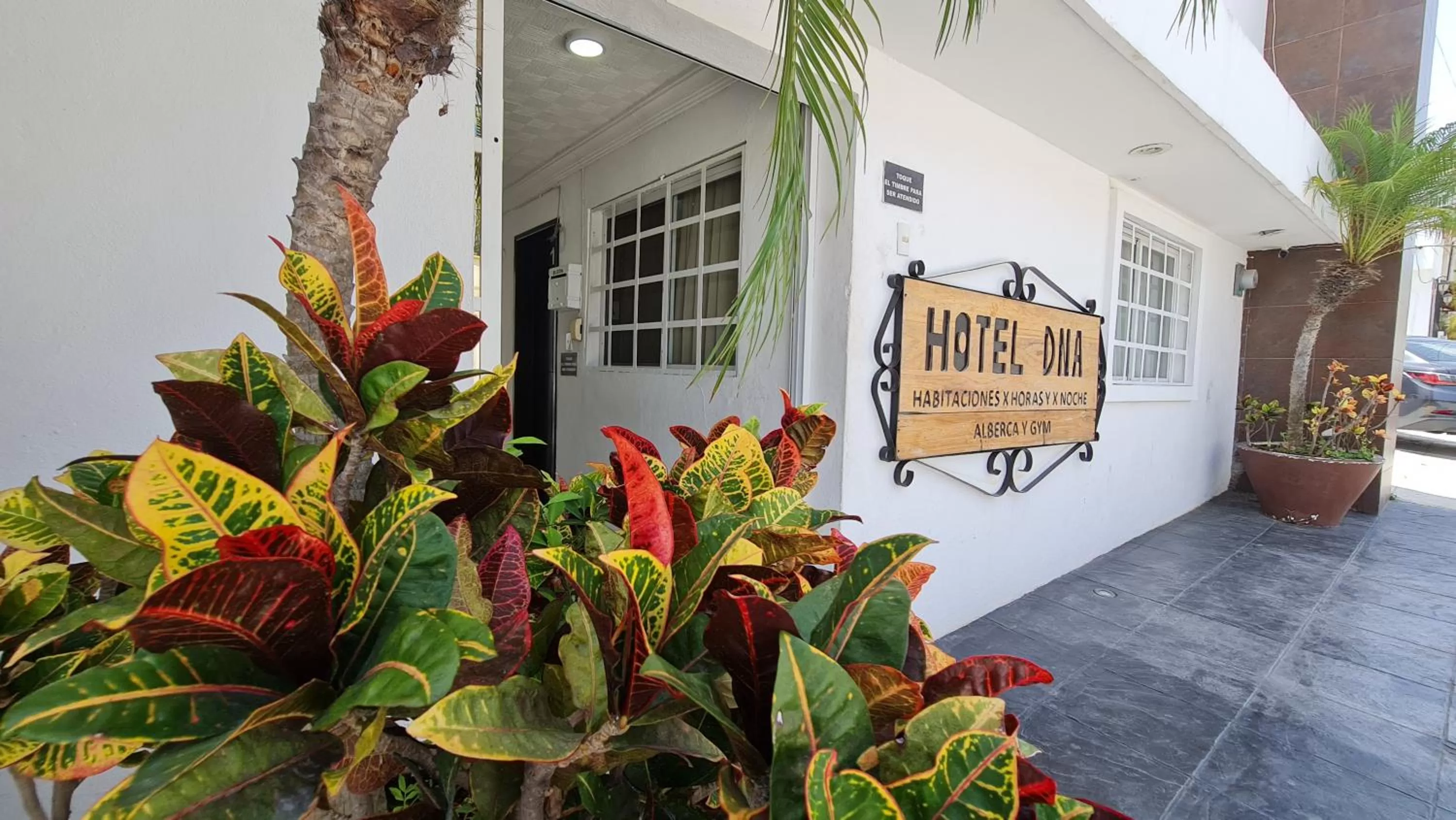 DNA Cancun Hotel y Posada