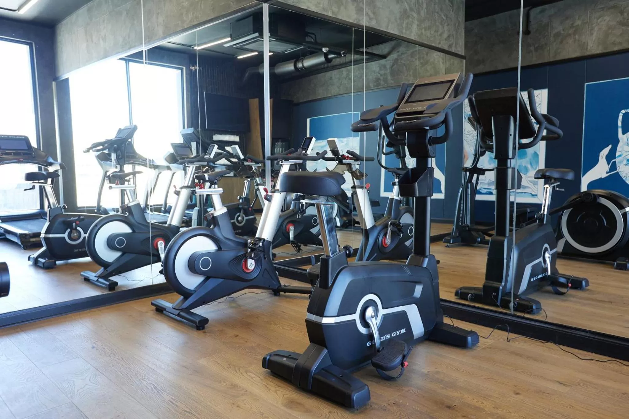 Fitness centre/facilities in HYDE JOHANNESBURG ROSEBANK