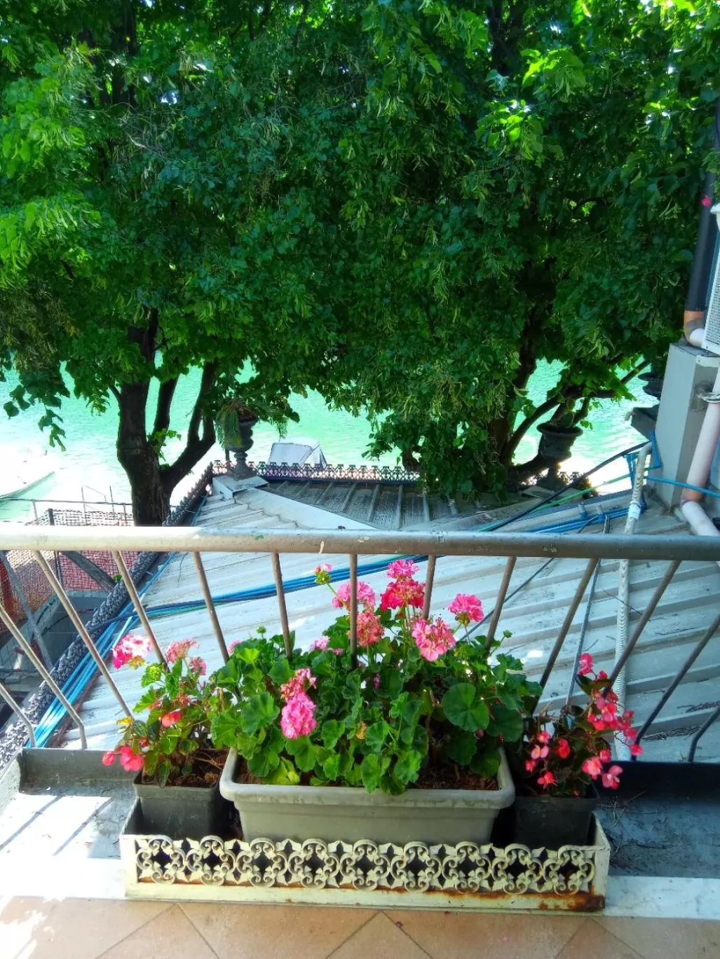 View (from property/room) in Villa Fiorita