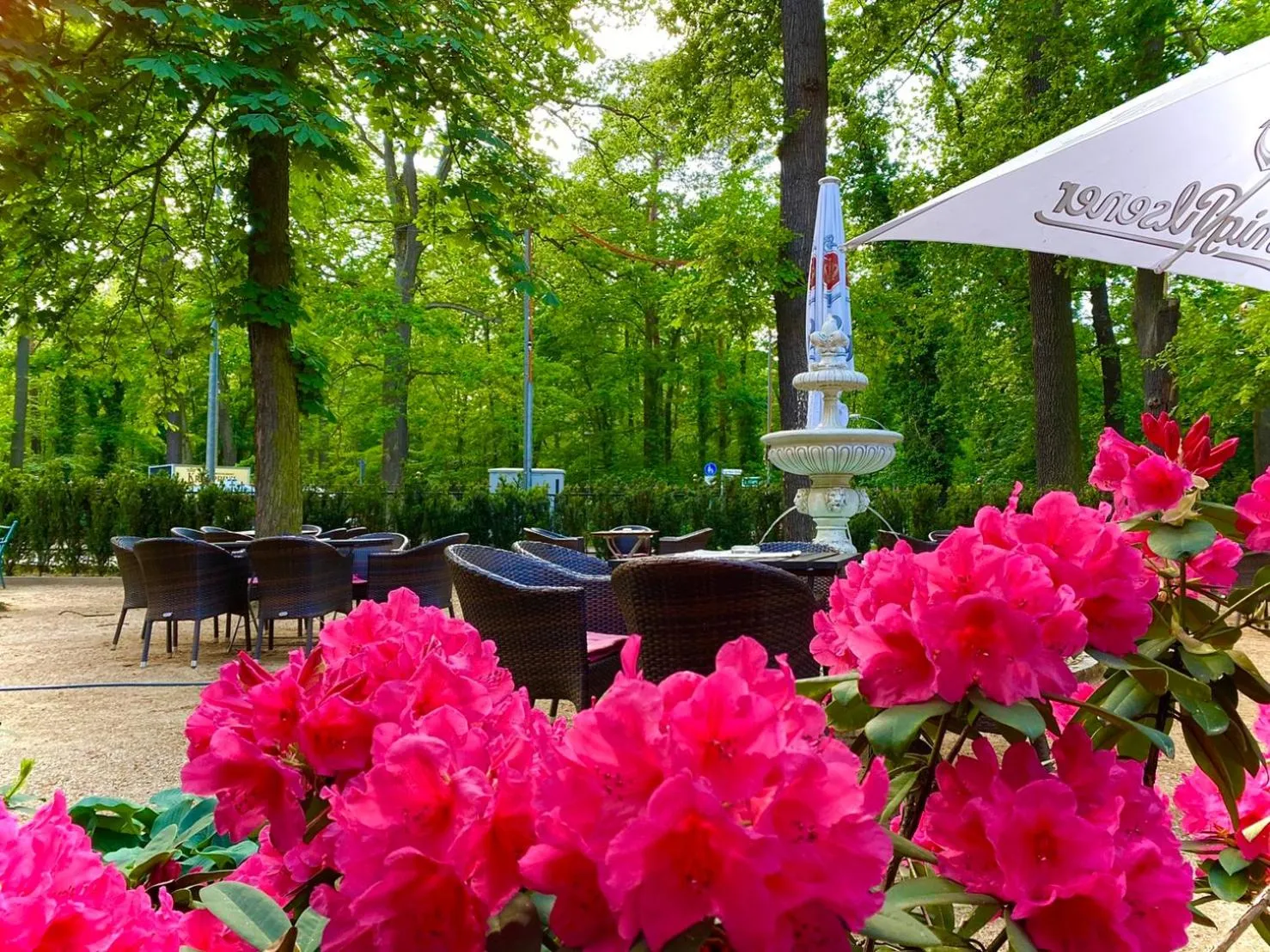 Garden view in Hotel Kronprinz
