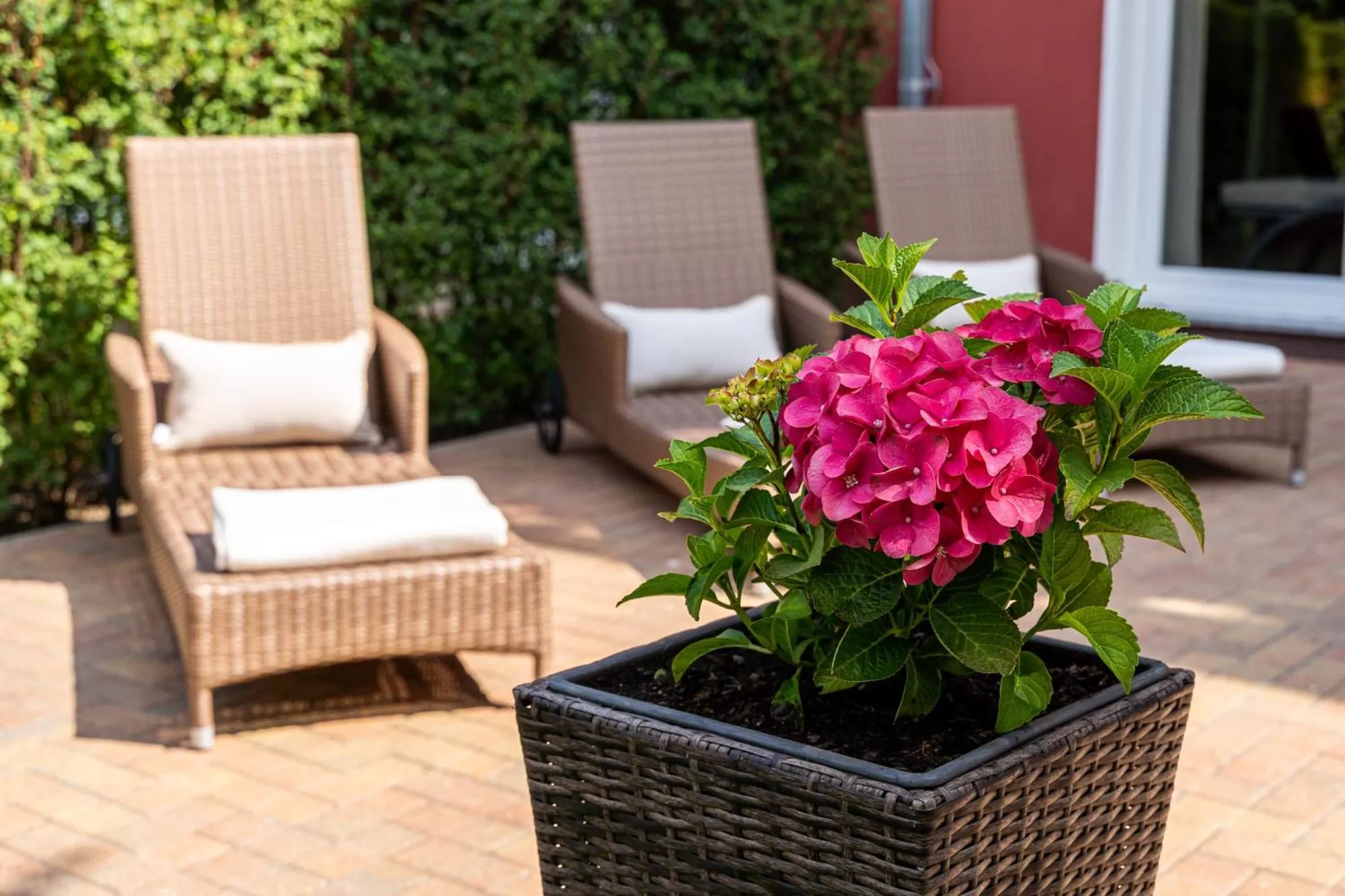 Garden in Strandhafer Aparthotel