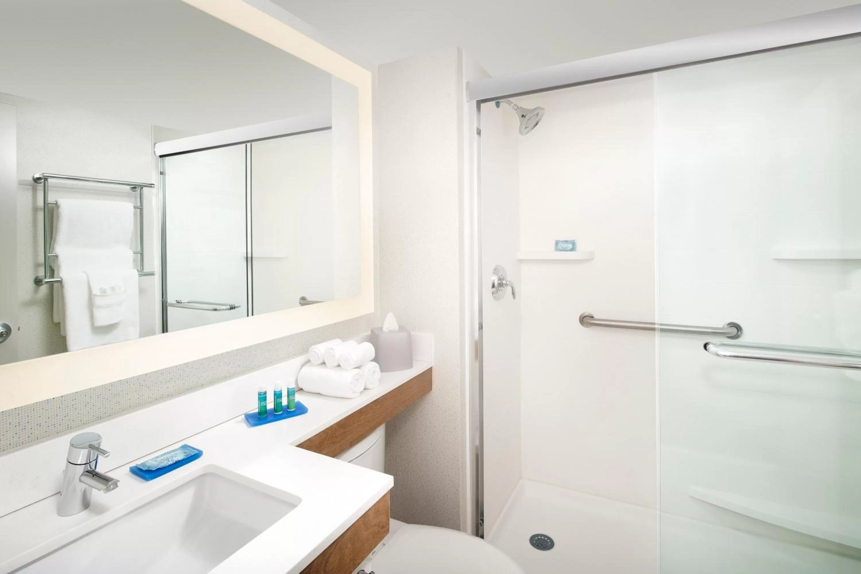 Bathroom in Holiday Inn Express & Suites College Park - University Area by IHG