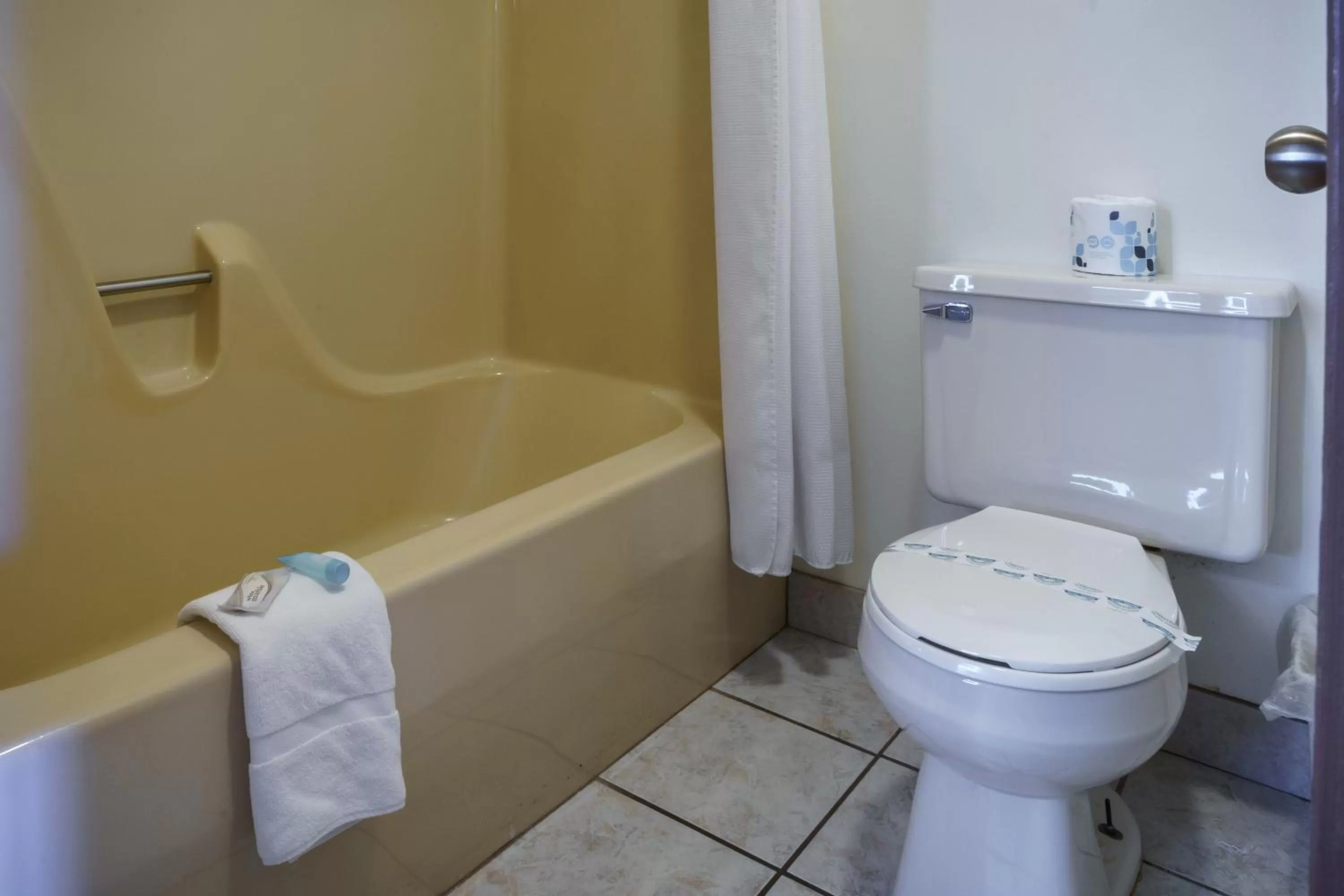 Shower in Shady Acre Inn and Suites