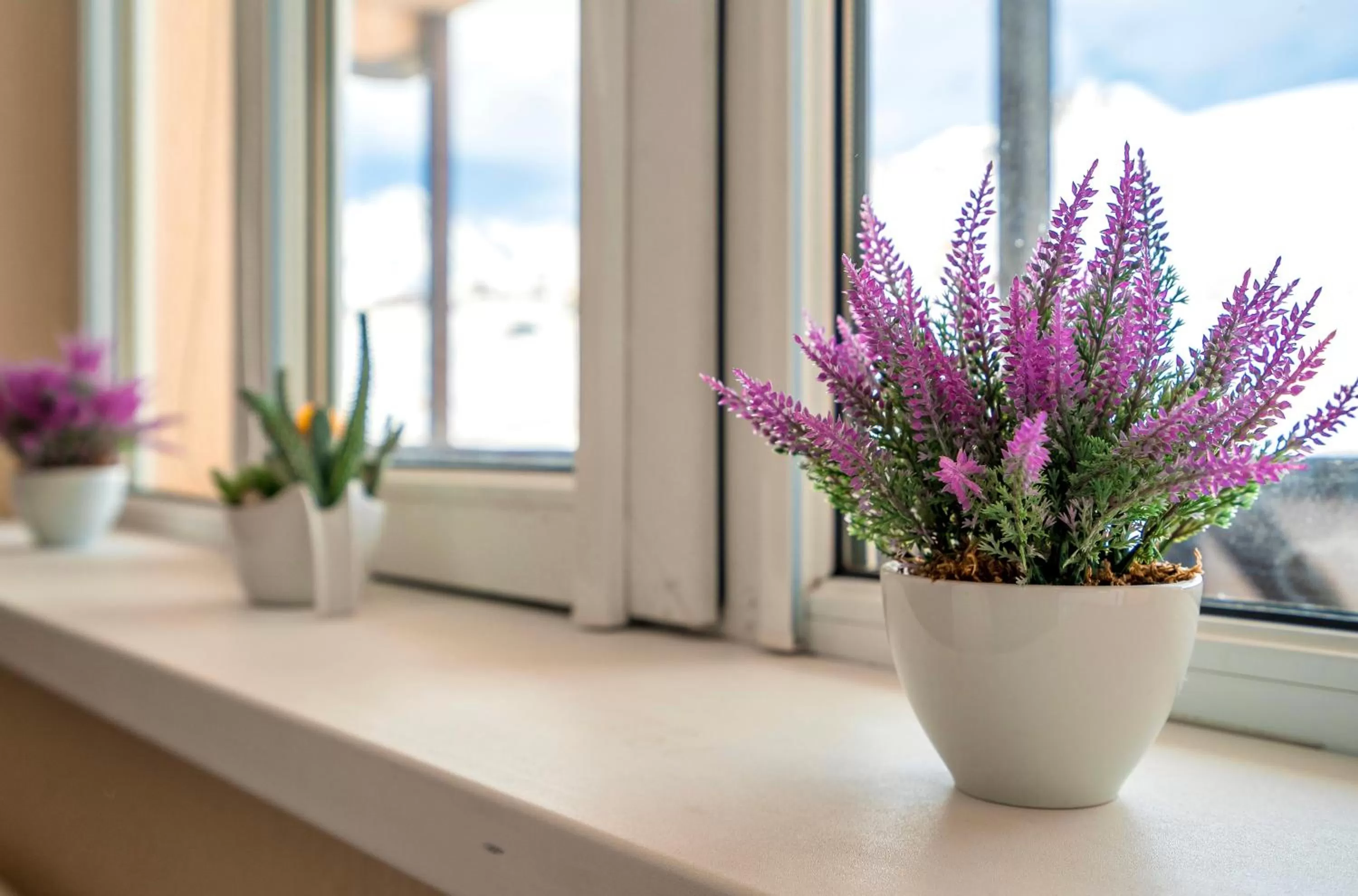 Photo of the whole room in 2-room Apartment NFT Gudauri Penta 503