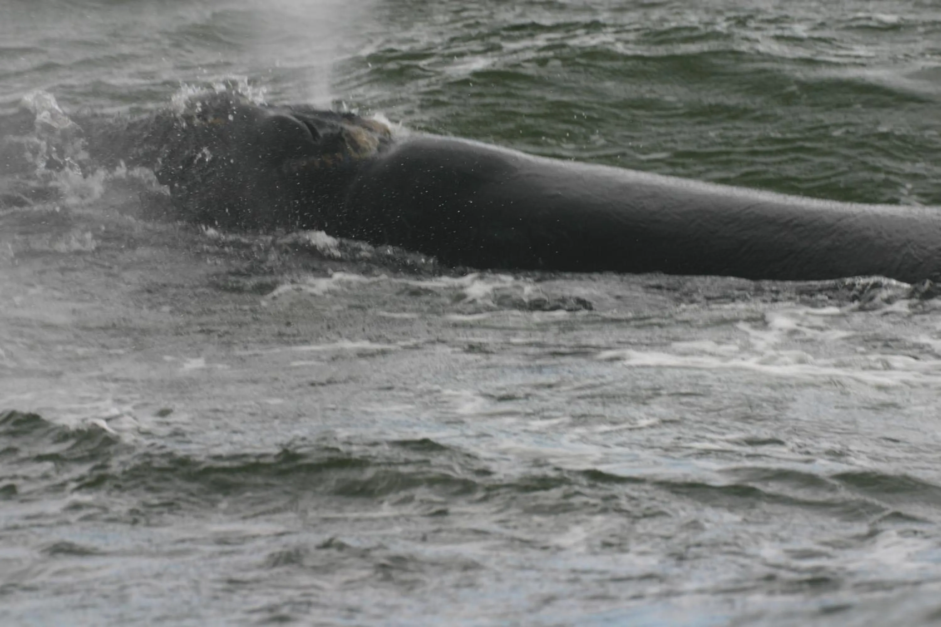 Other in Lavender Manor Guest Lodge