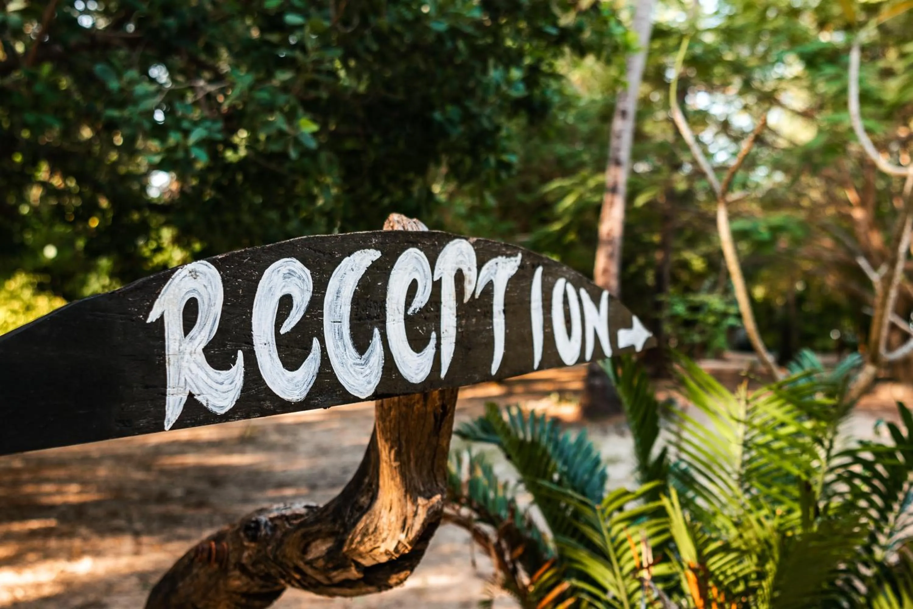 Logo/Certificate/Sign in Hakuna Majiwe Beach Lodge