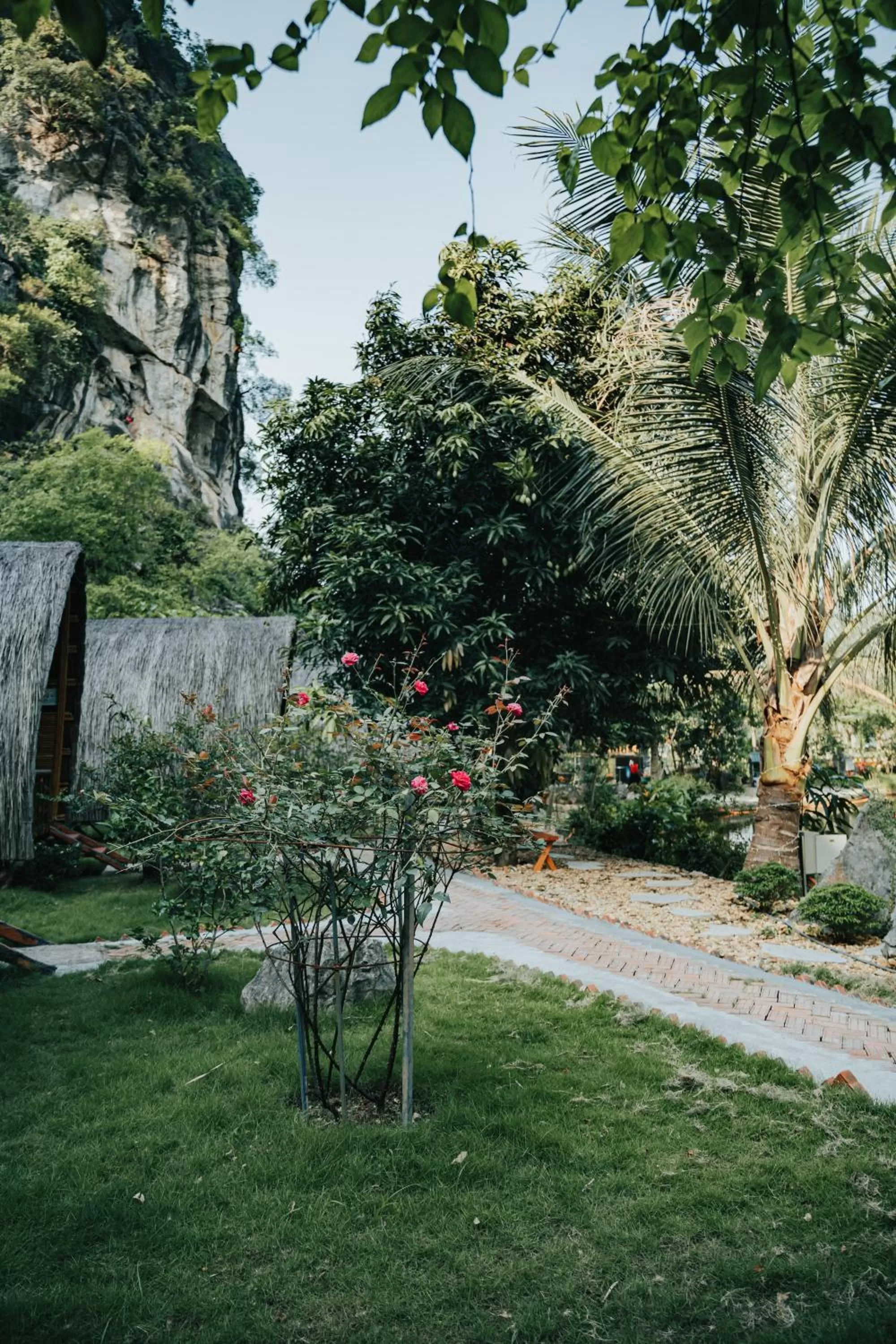 Garden in Fairy Mountain Retreat