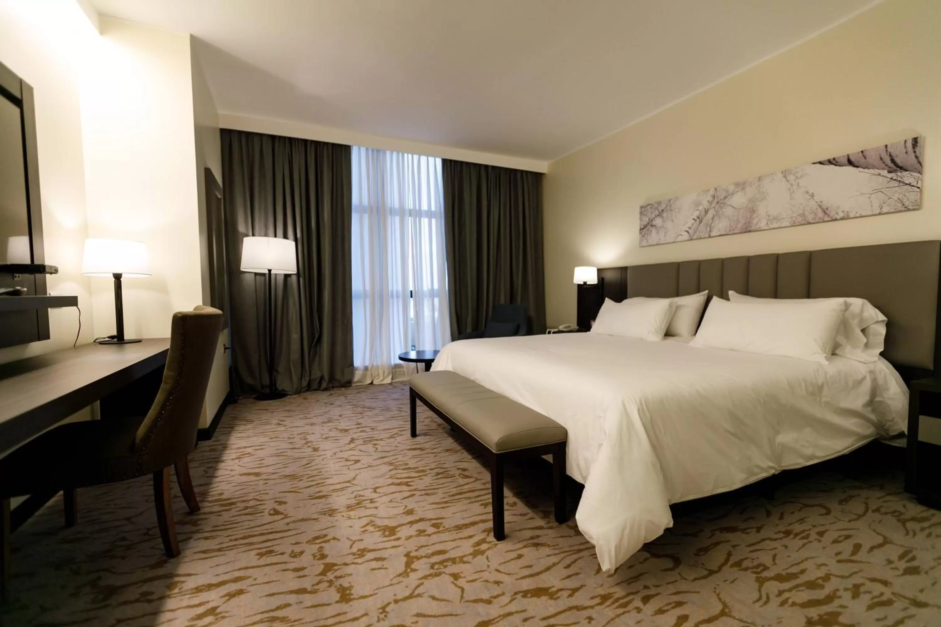 Photo of the whole room, Bed in Hilton Garden Inn Santiago Del Estero - HILTON HOTELS