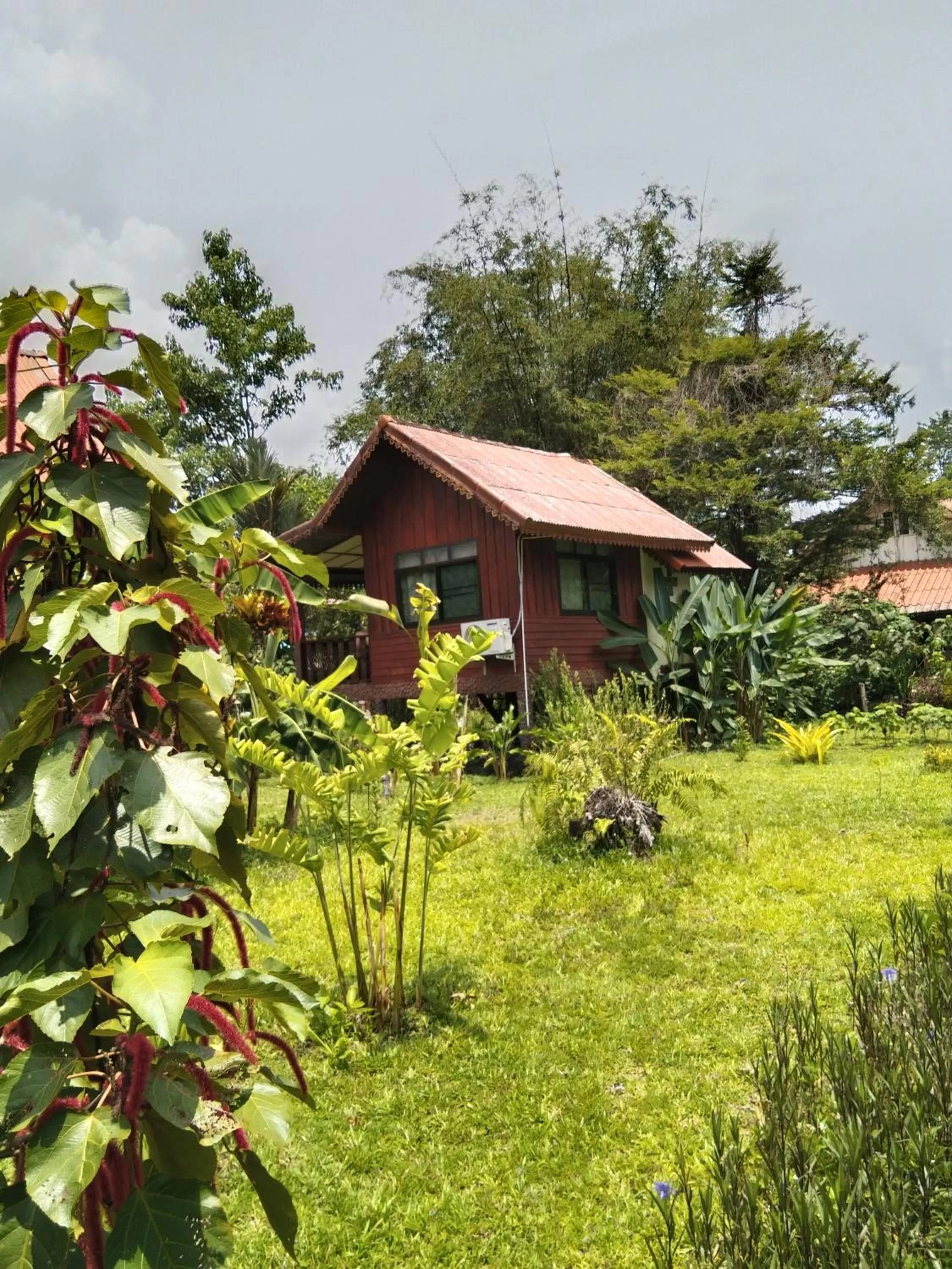 Property building in Khao Sok River & Jungle Resort