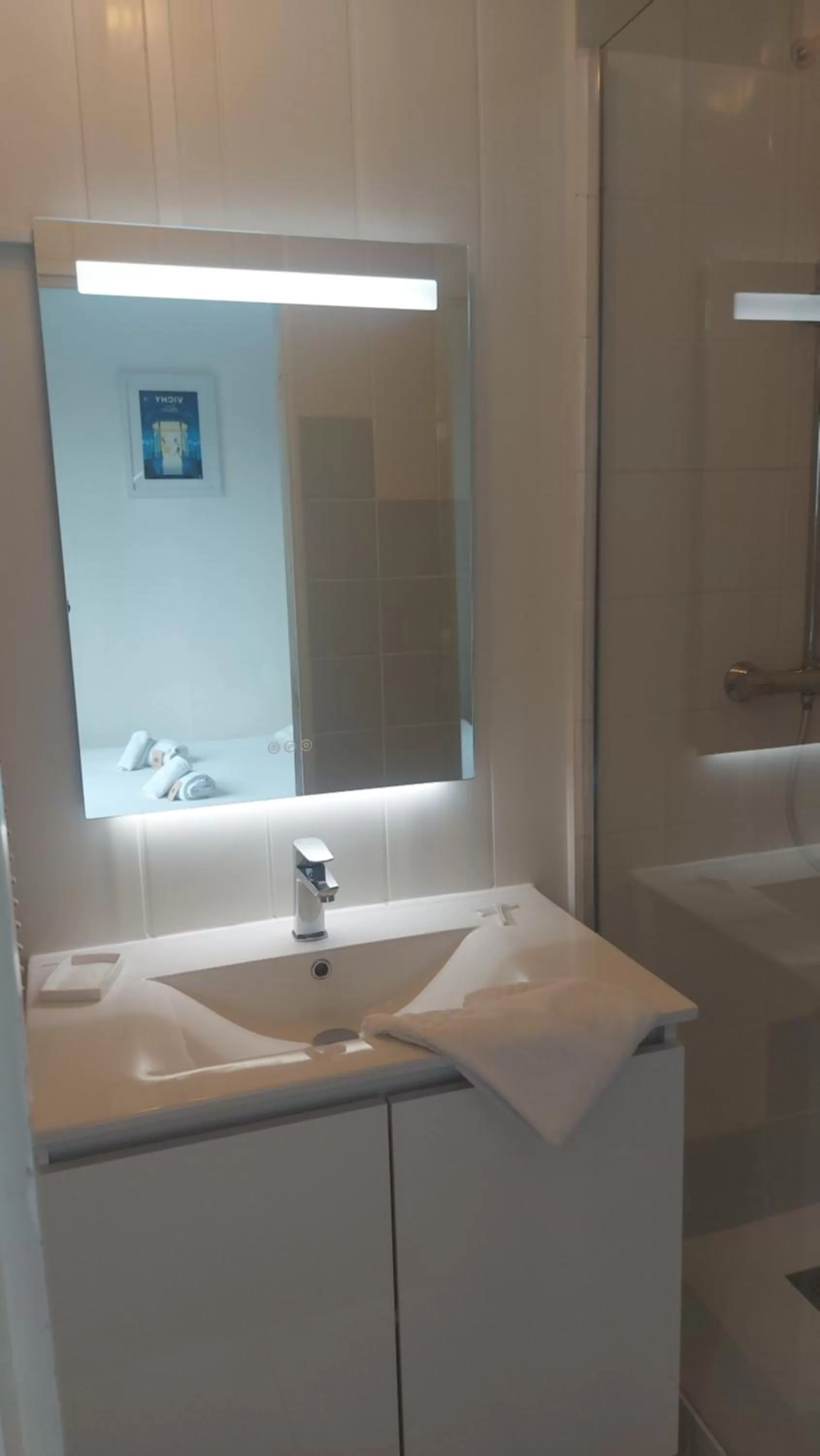 Shower in Hôtel & Restaurant Le Patio VICHY