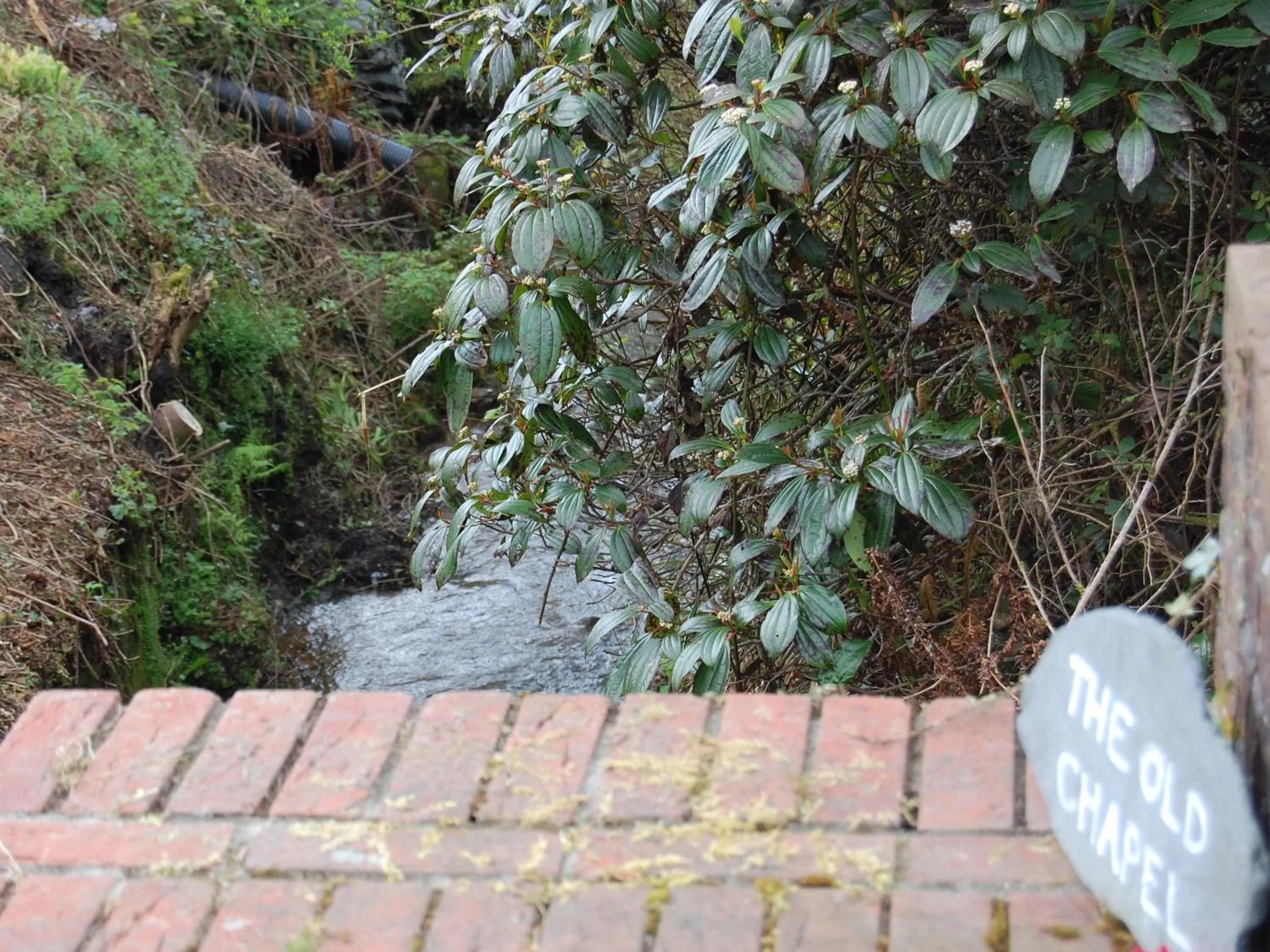 View (from property/room) in The Chapel Guest House