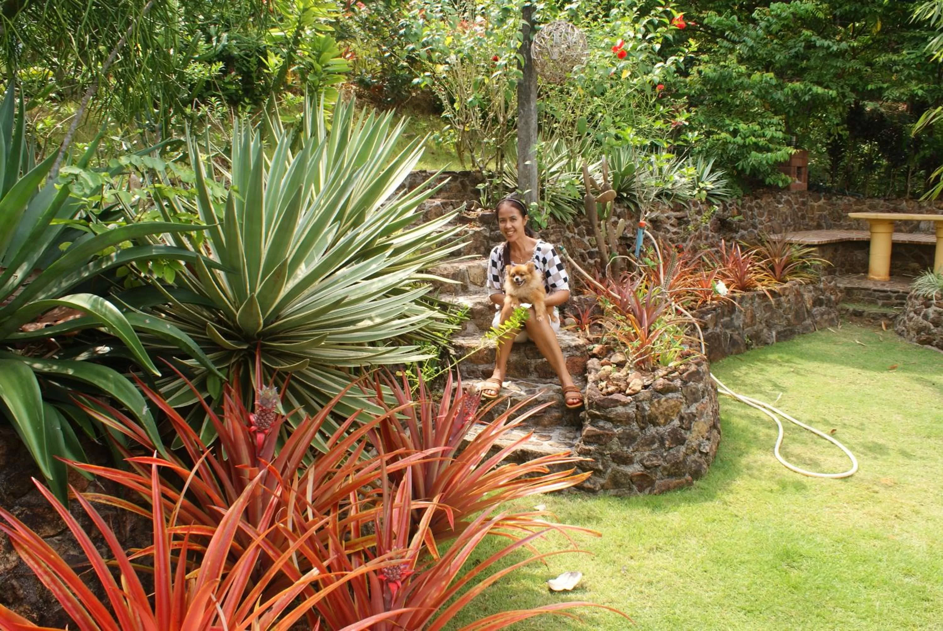 Garden in Rock Inn Bailan