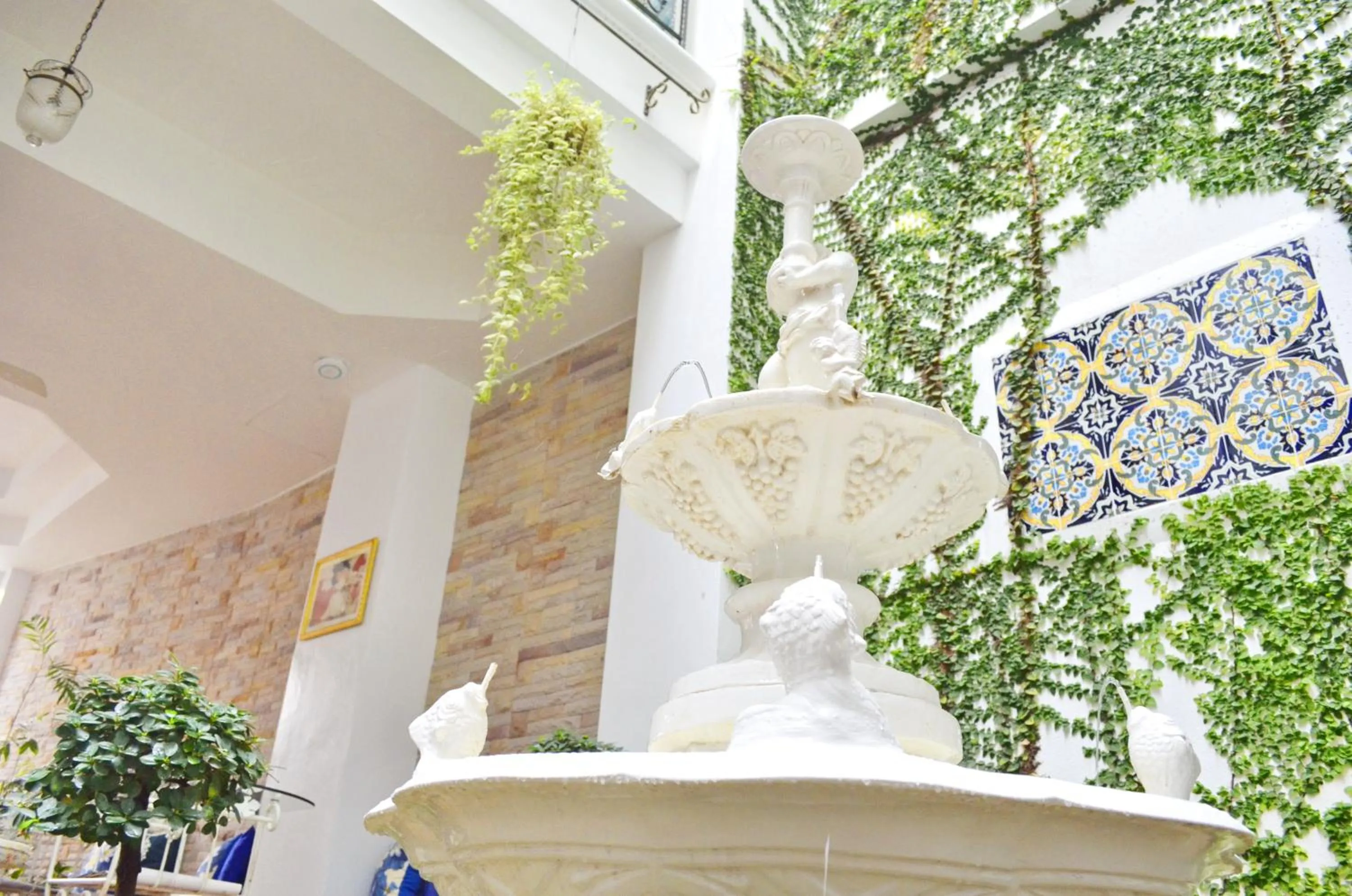 Garden in Casa Blanca Boutique Hotel - SHA Plus