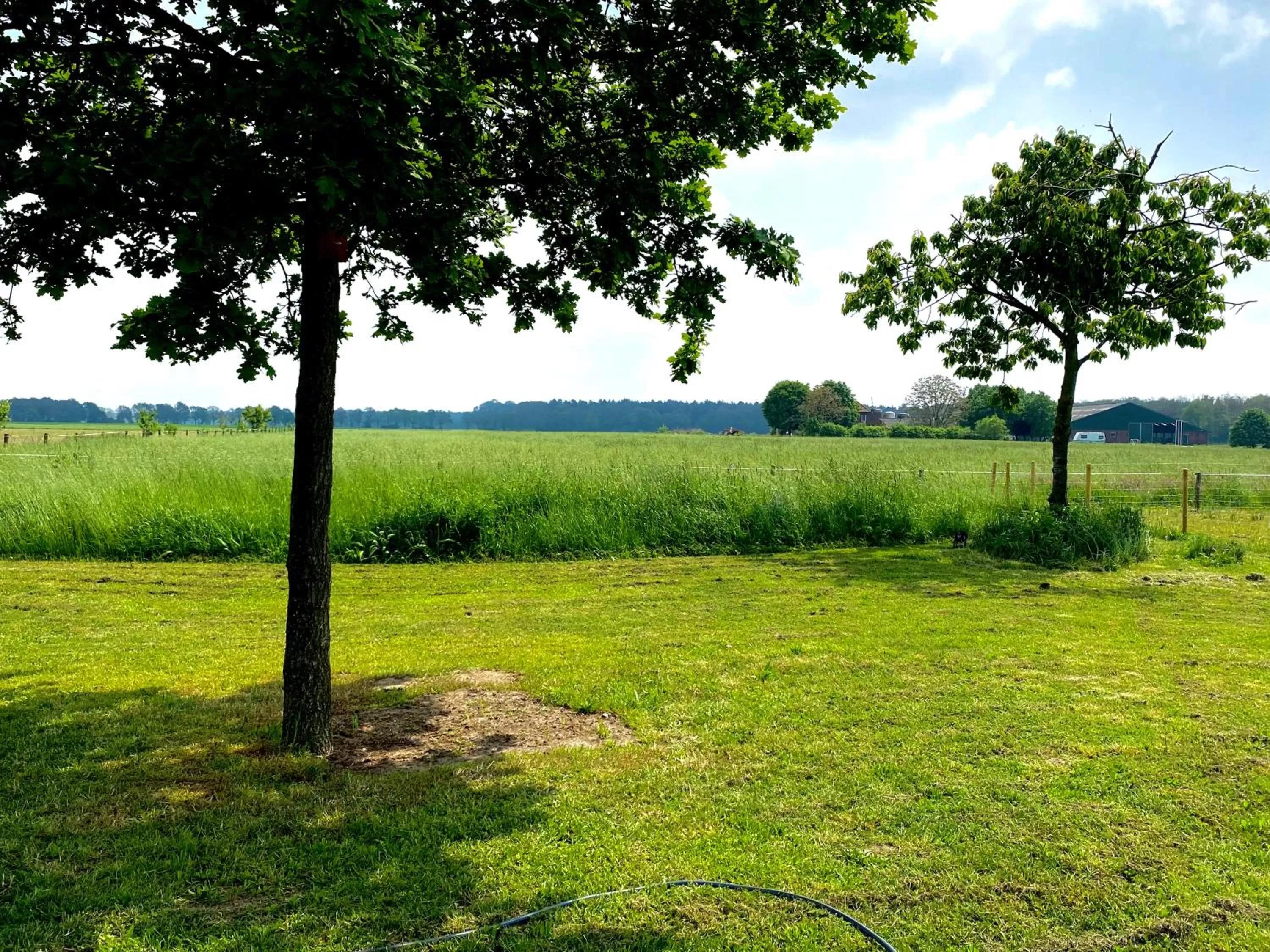 Spring, Garden in De Heeren Hoeve Carpe Diem