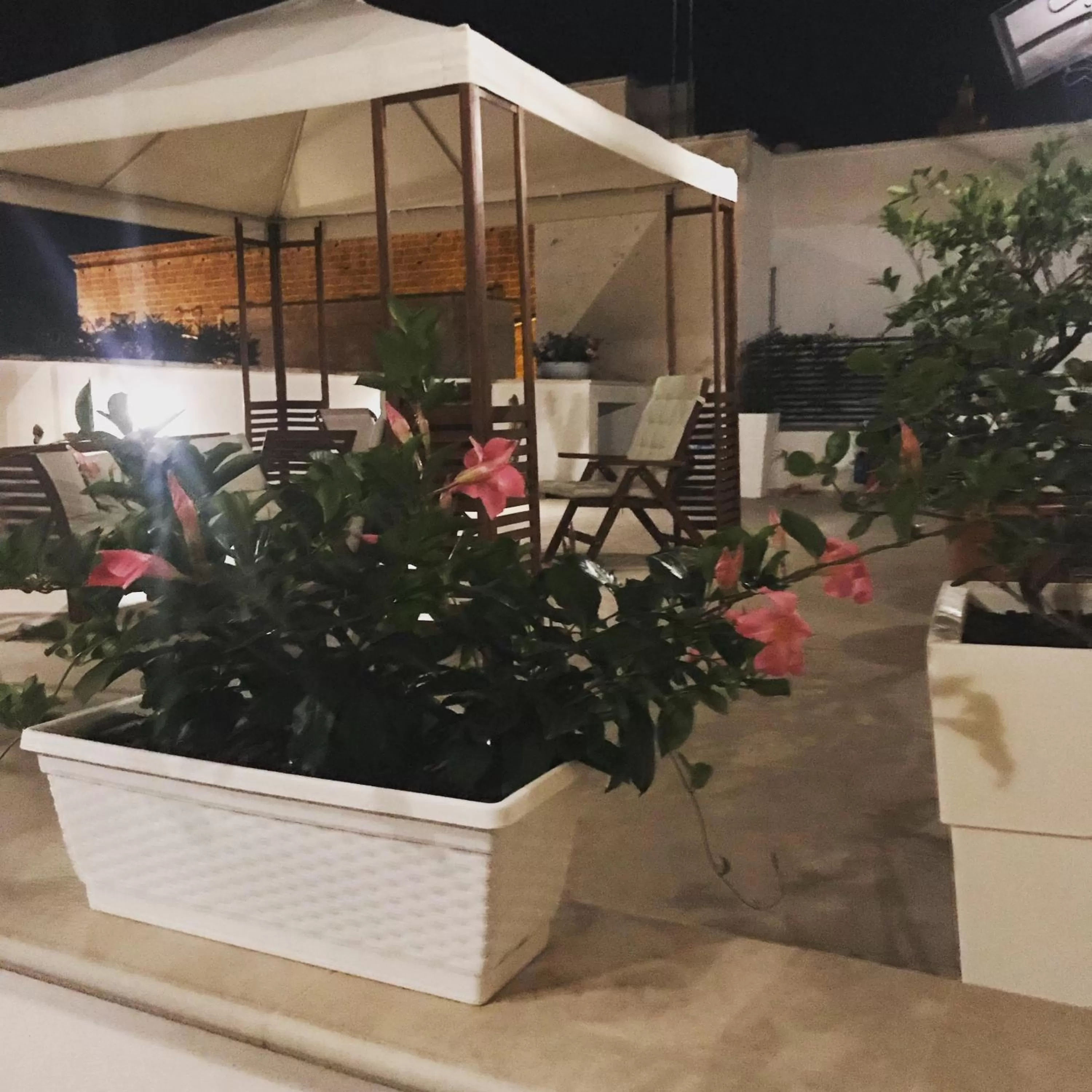 Balcony/Terrace in Sine Tempore B&B