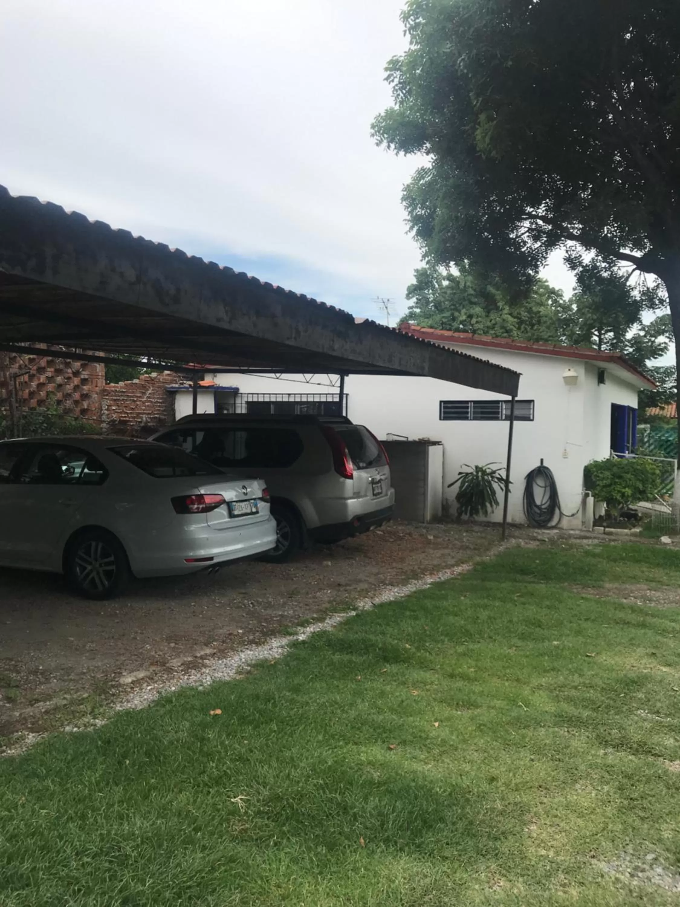 Garden in La Casa de los Globos