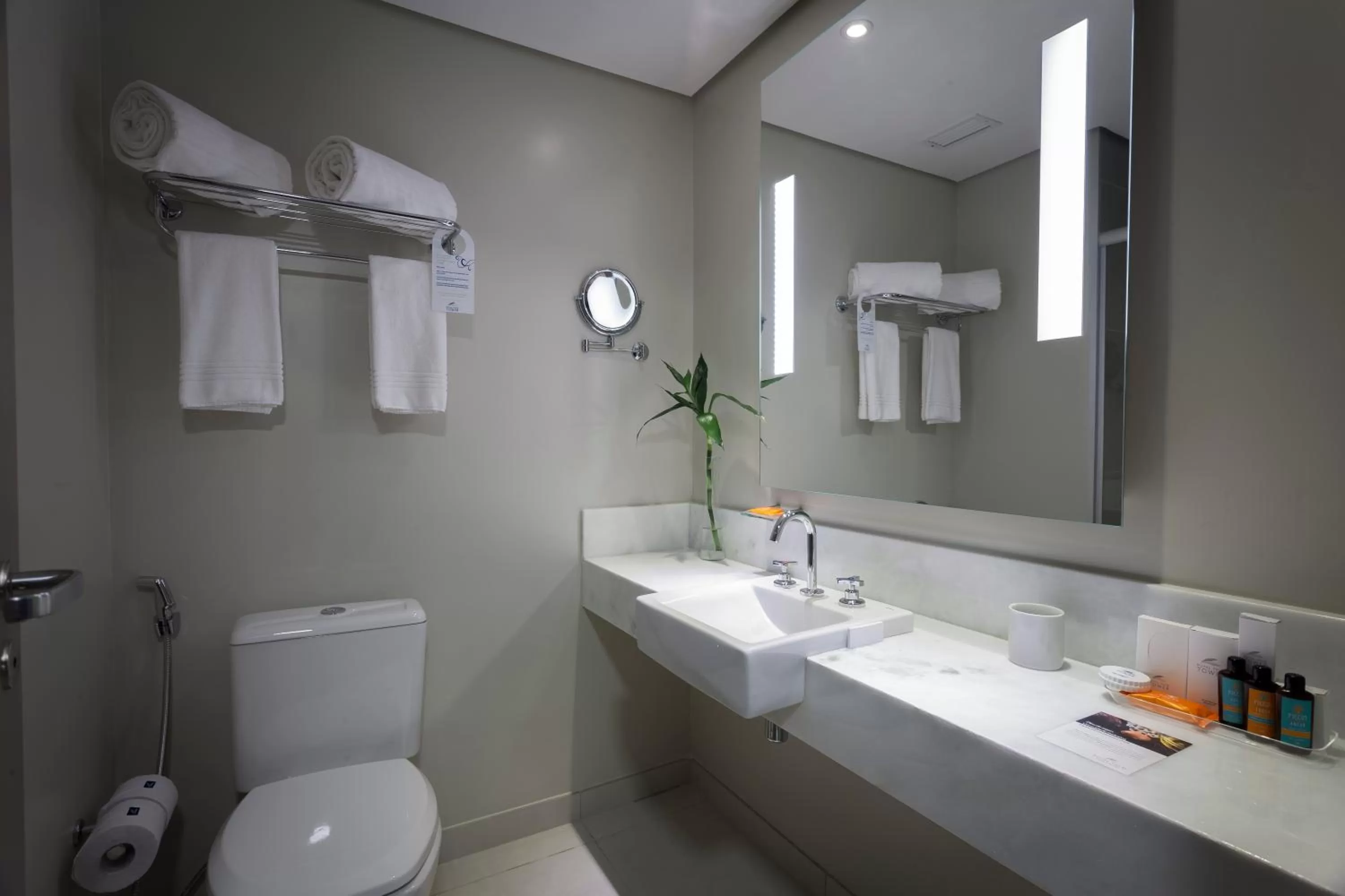 Deluxe Queen Room in Royal Palm Tower Indaiatuba