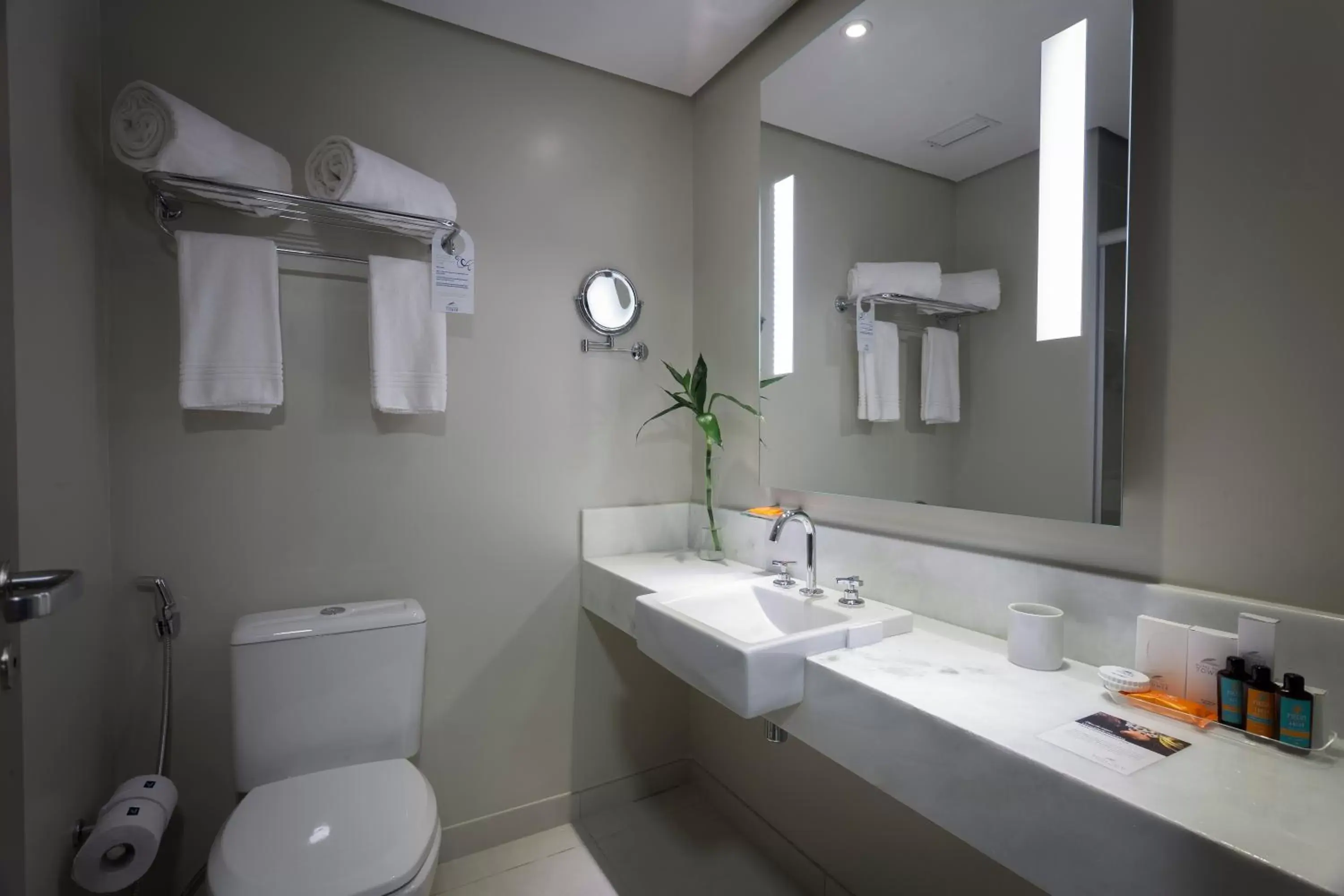 Deluxe Queen Room in Royal Palm Tower Indaiatuba Deluxe Queen Room in Royal Palm Tower Indaiatuba