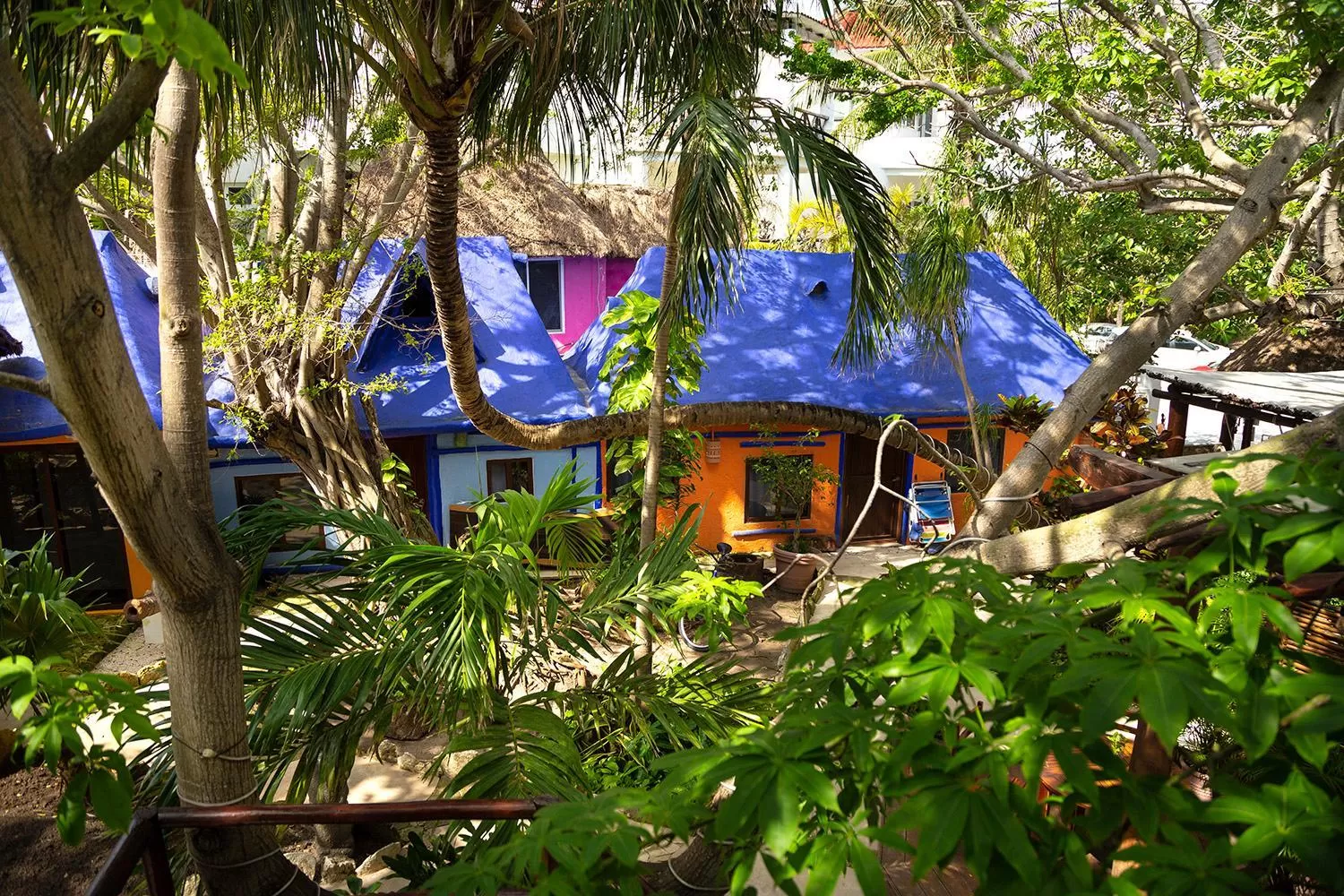 Garden, Property Building in Hotel Amar Inn