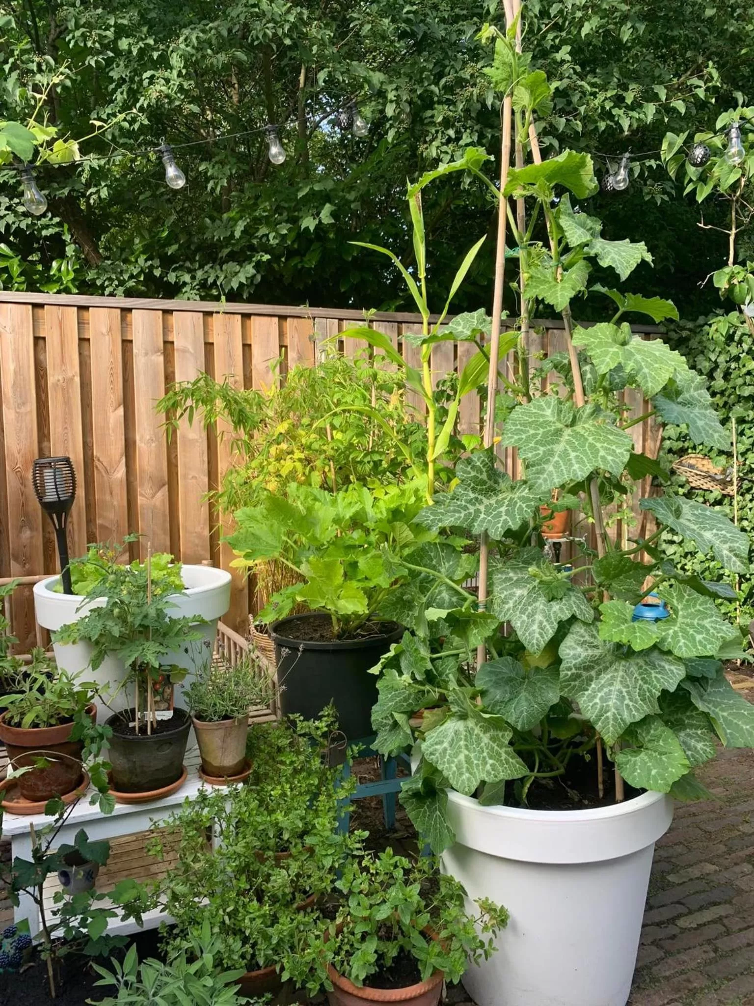 View (from property/room) in Bed & Breakfast Jo Amsterdam