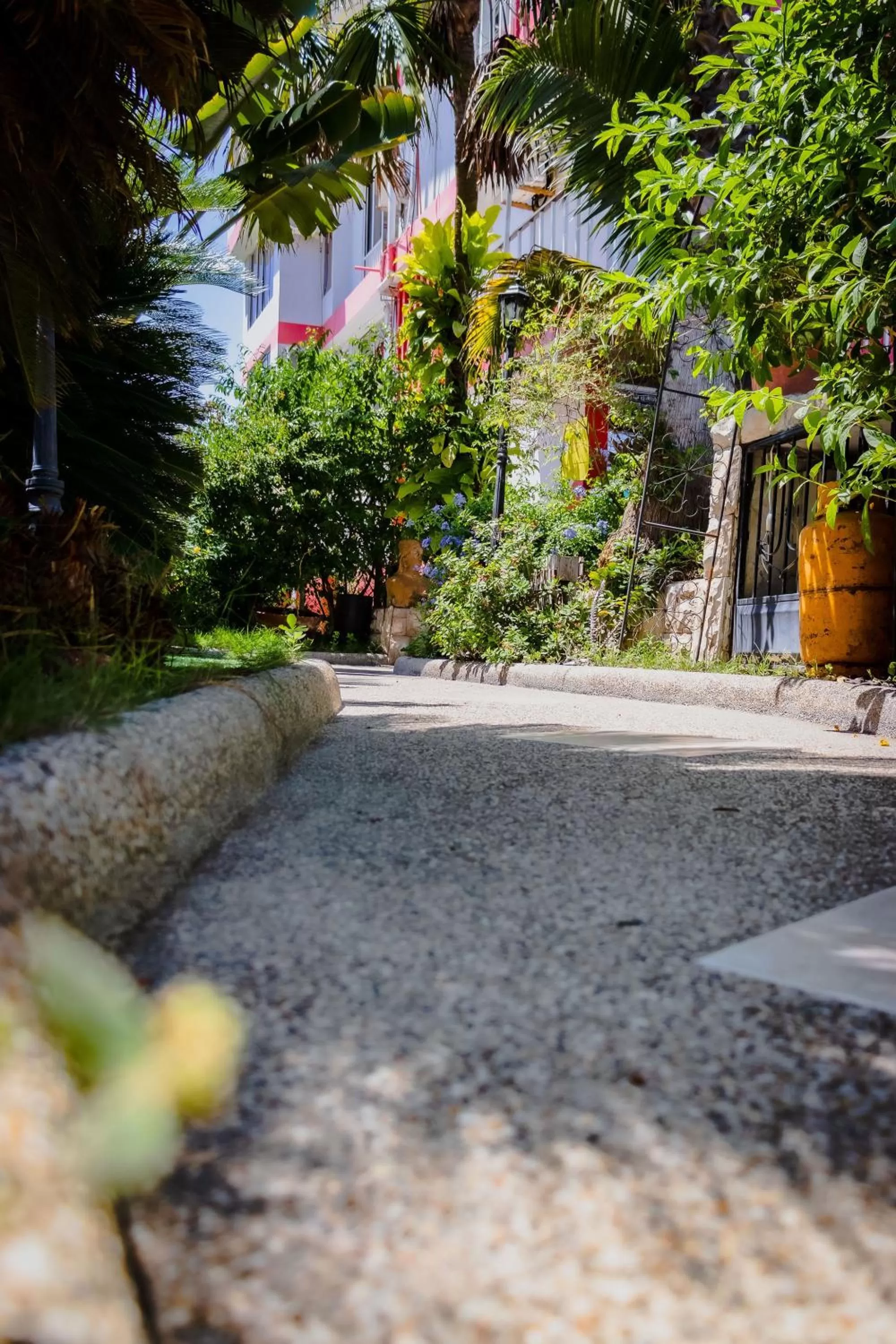 Day in Hostal Antares