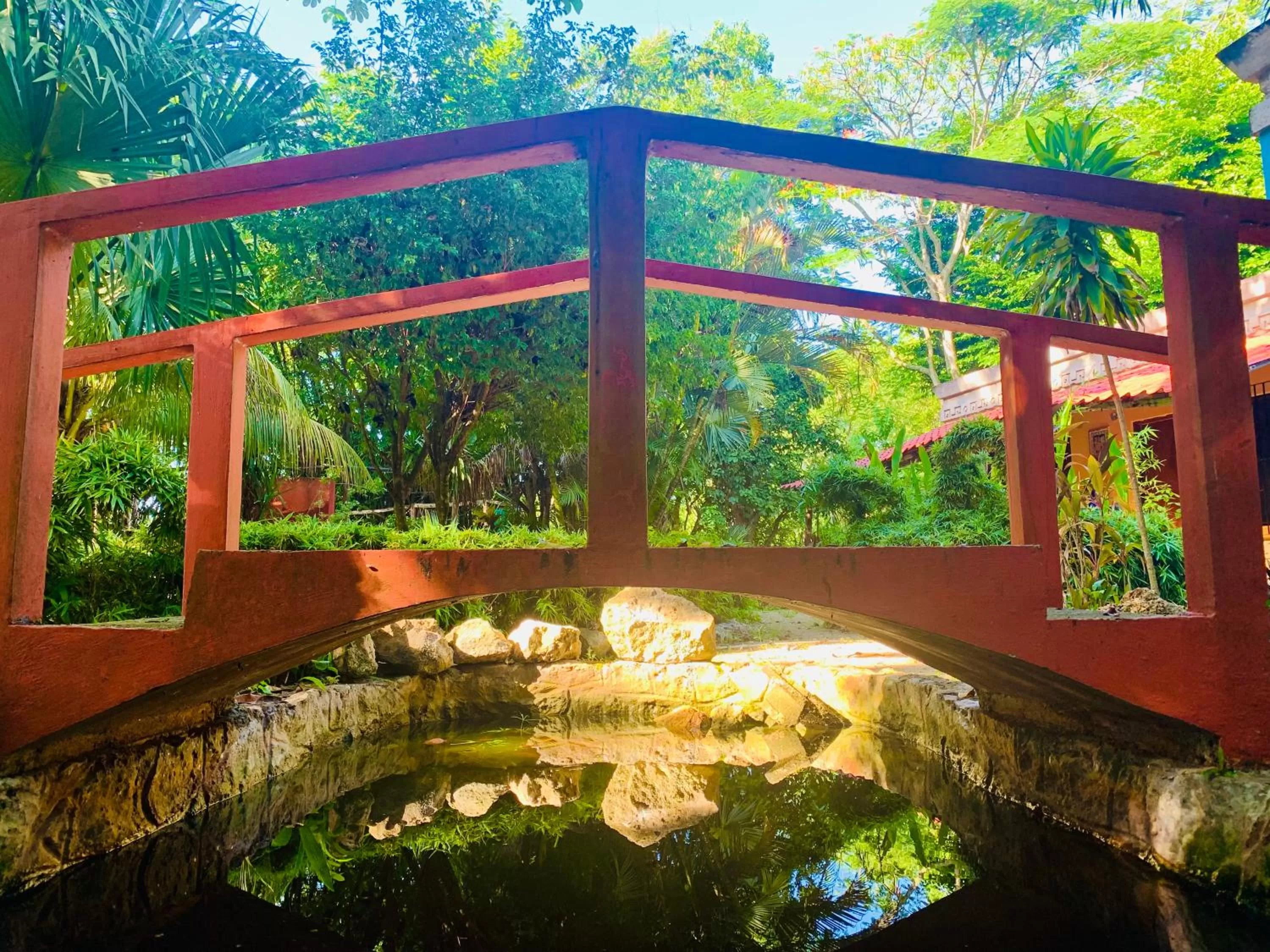 Garden in Gardenhotel Macan Ché B&B