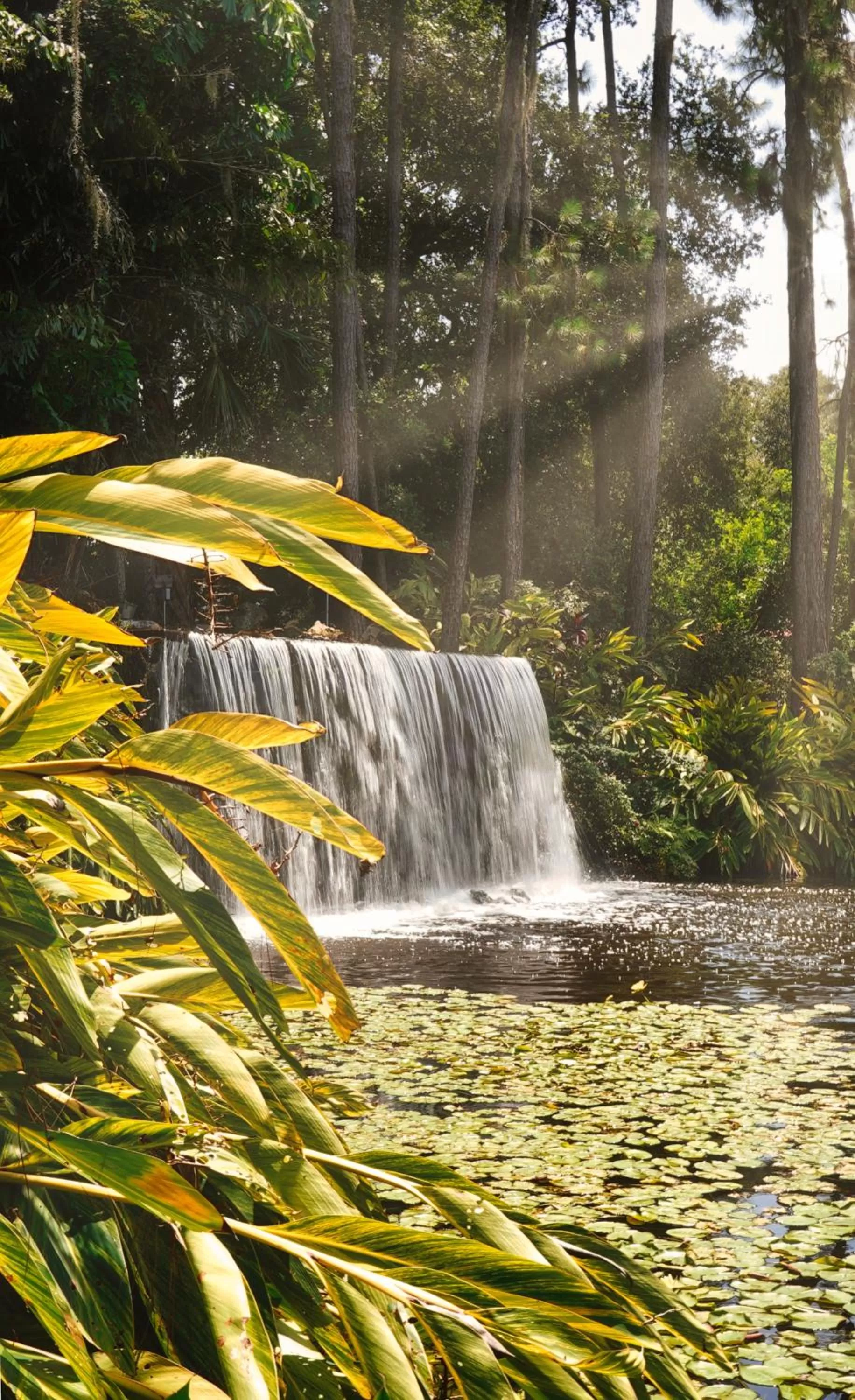Natural landscape in Mission Resort and Club