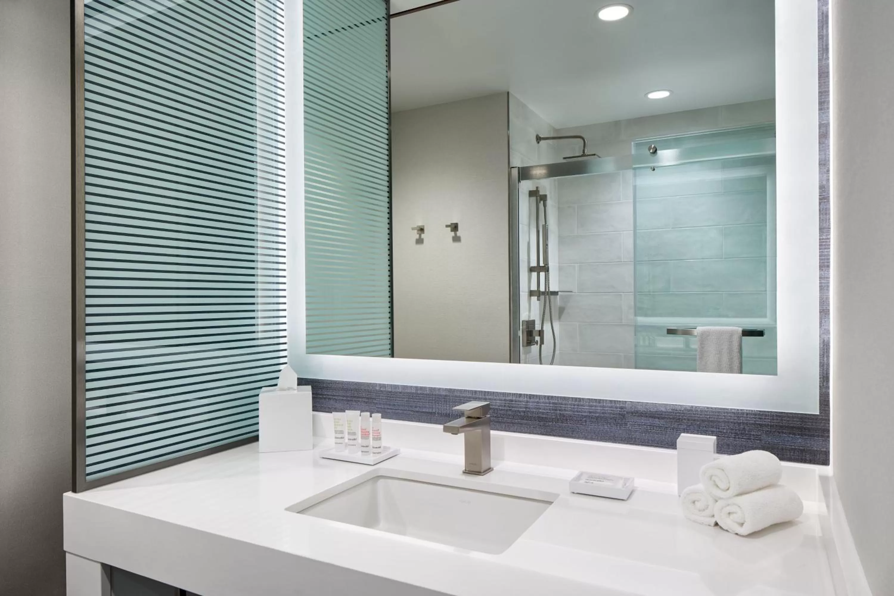 Bathroom in Marriott Owings Mills Metro Centre