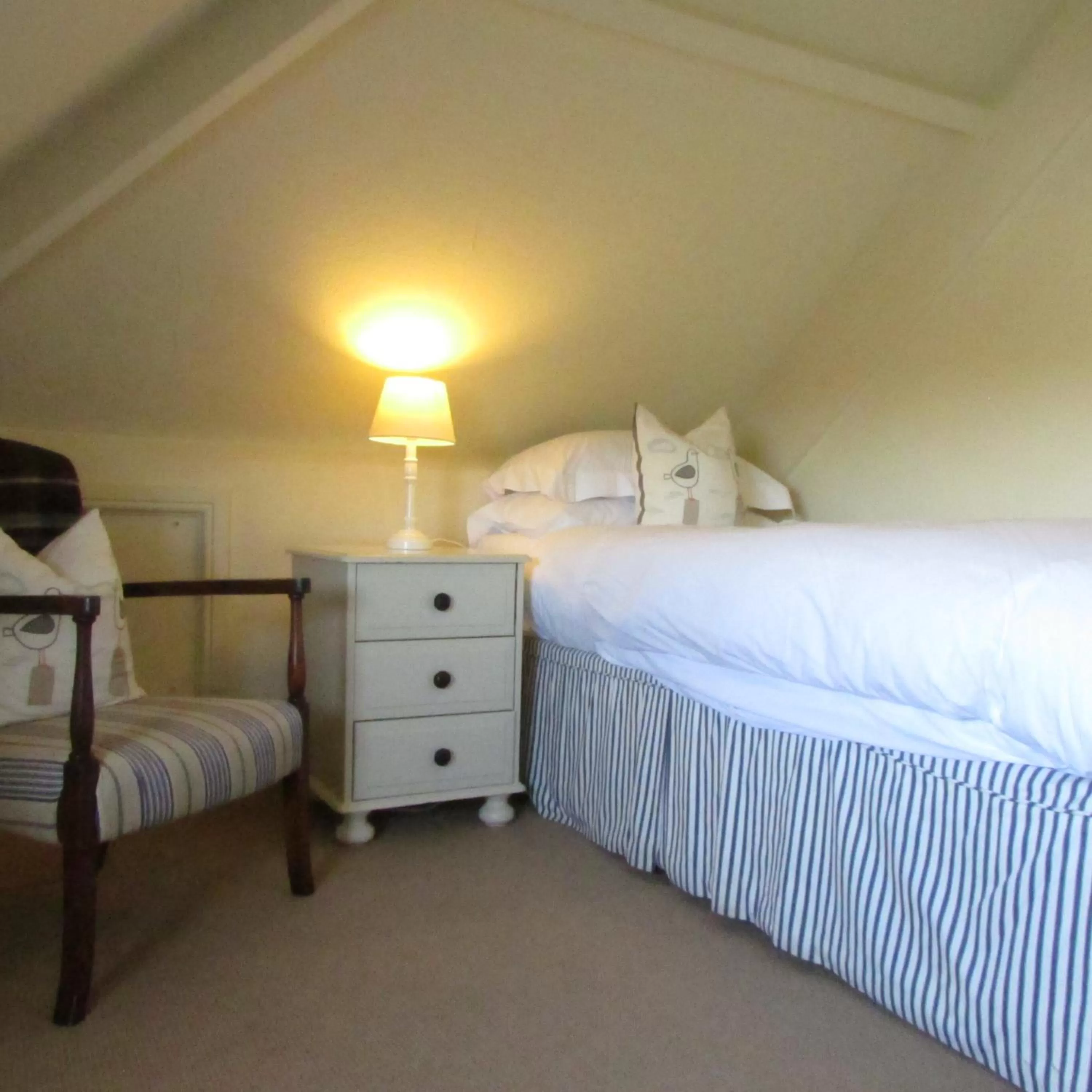 Toilet in Driftwood B&B