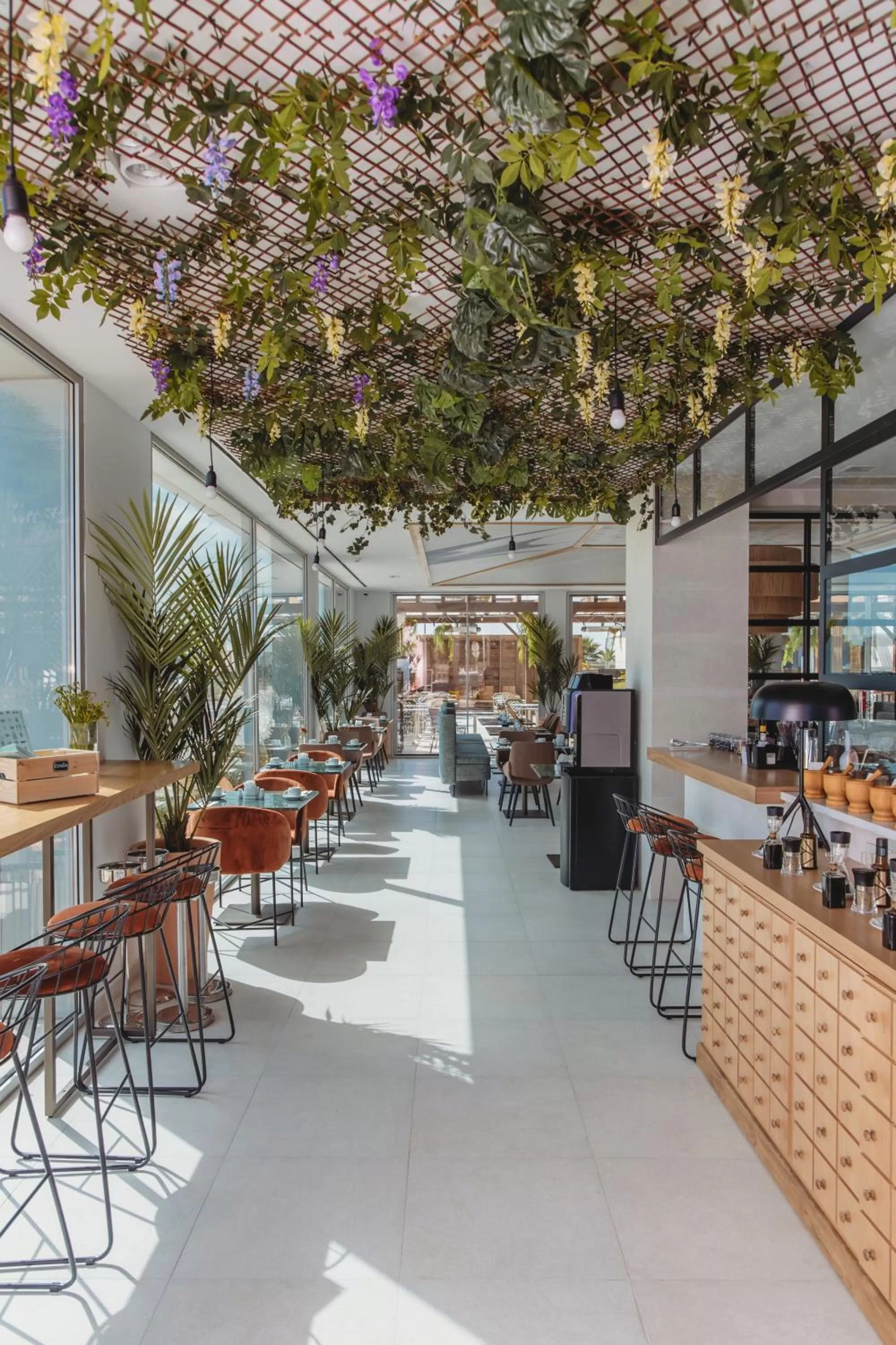 Restaurant/places to eat in Praia do Sal Resort