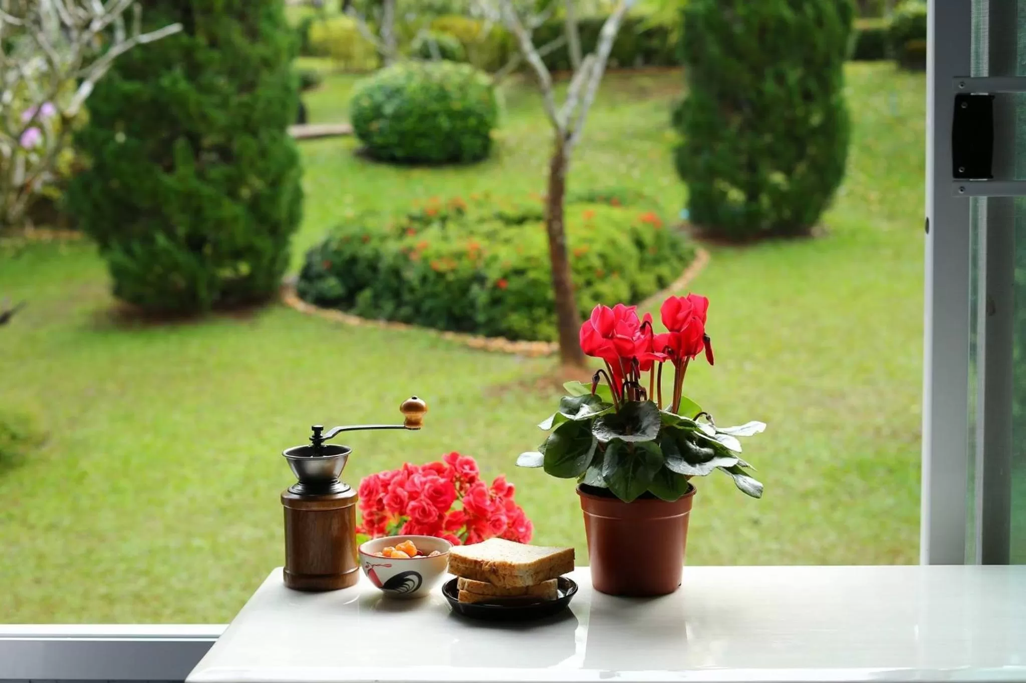 Garden view in Baan JaoKorKluay บ้านเจ้ากอกล้วย