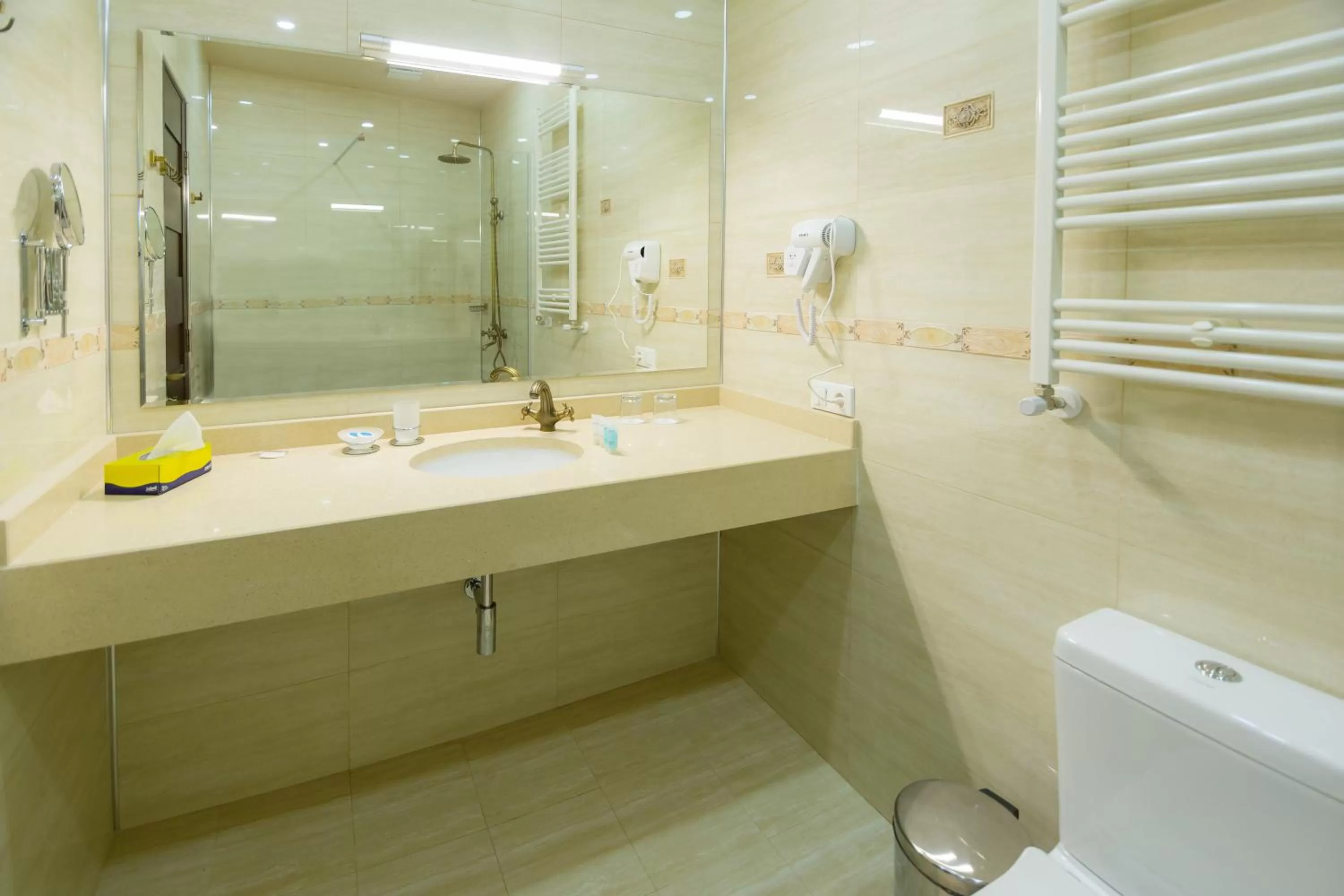 Bathroom in Elia Palace Hotel