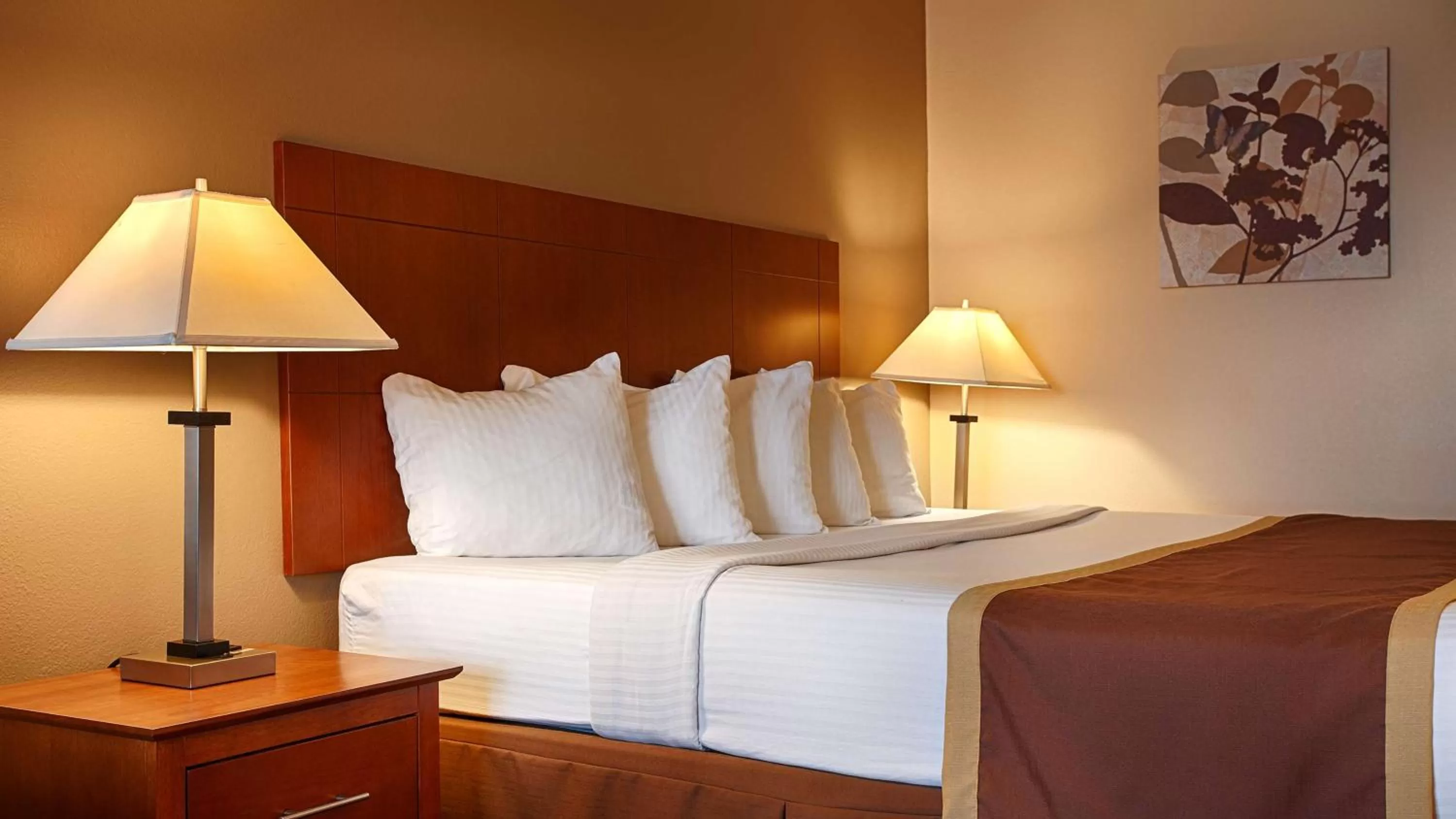 Standard King Room in Quality Inn & Suites Williamsport