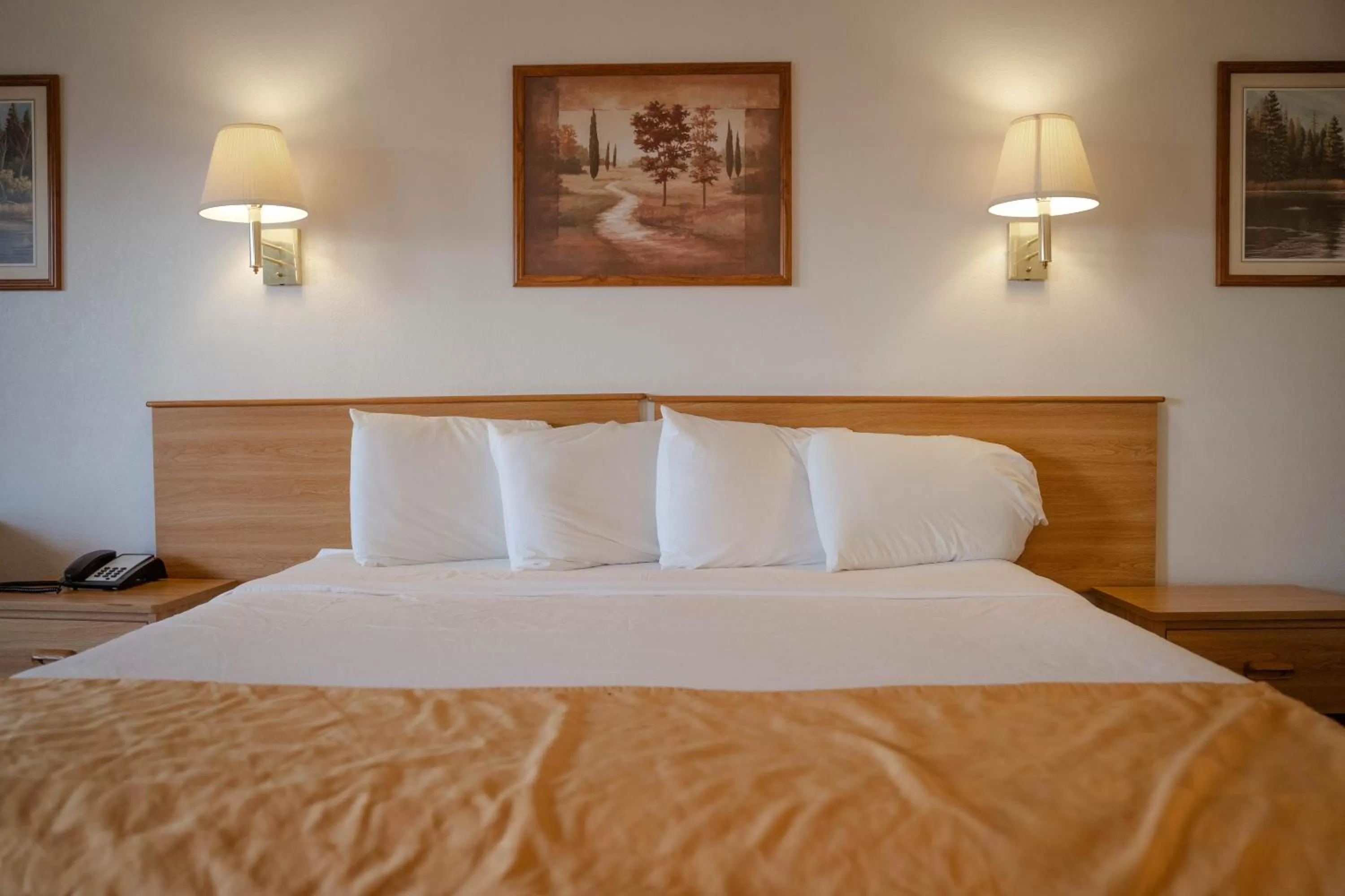 Bed in Haysville Express Inn