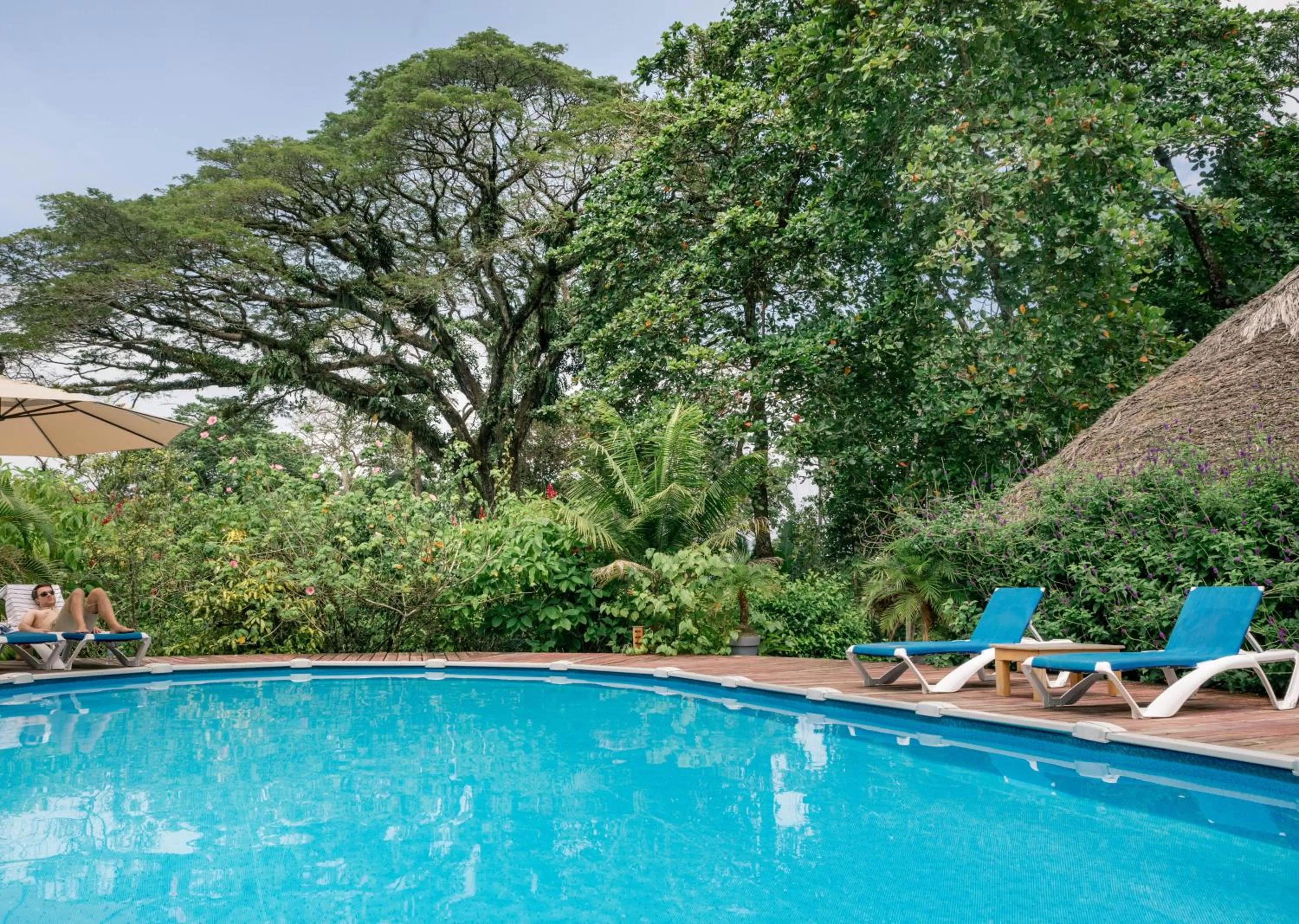 View (from property/room) in The Hummingbird