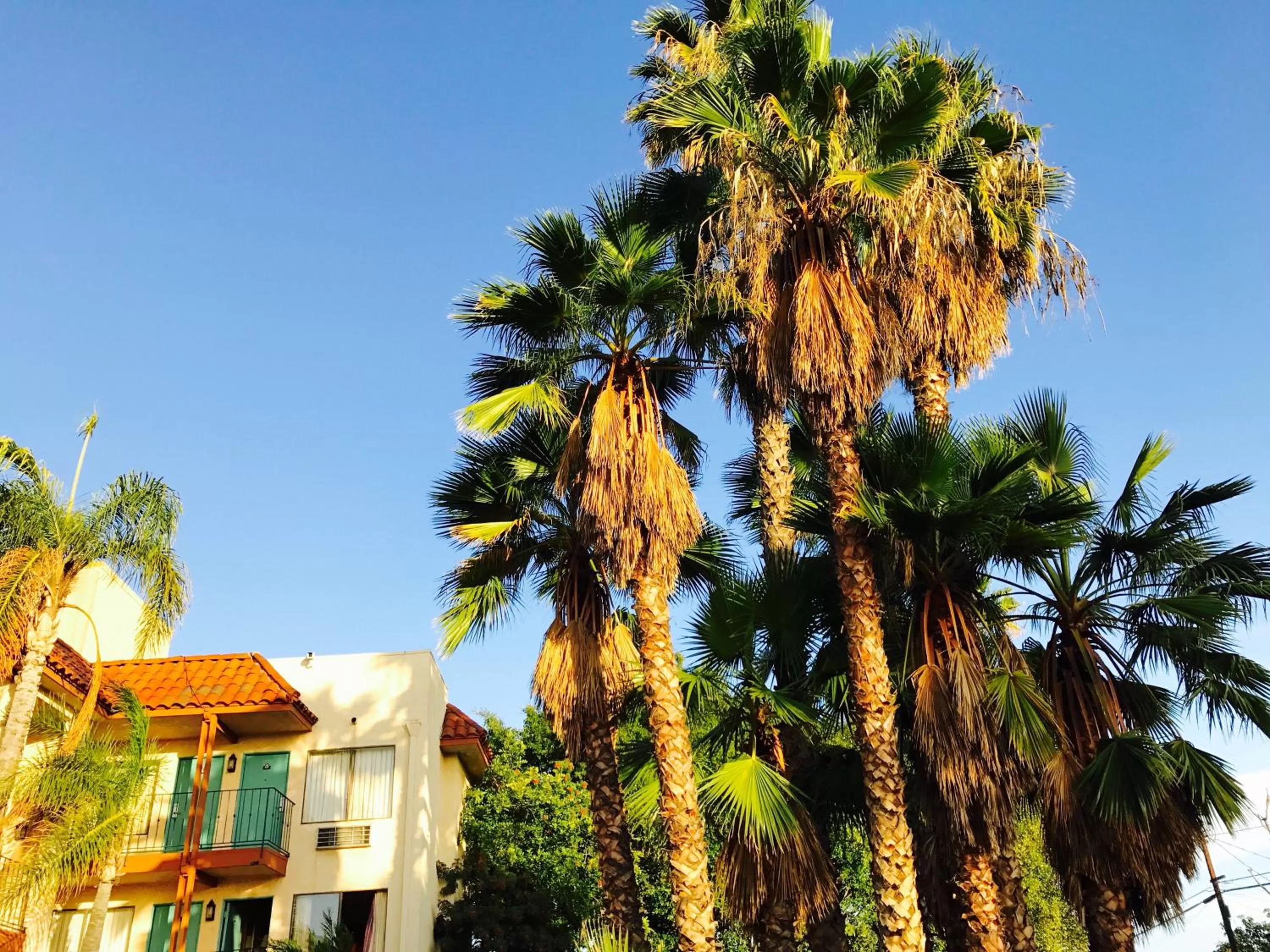 Property building in Days Inn by Wyndham Anaheim Near the Park