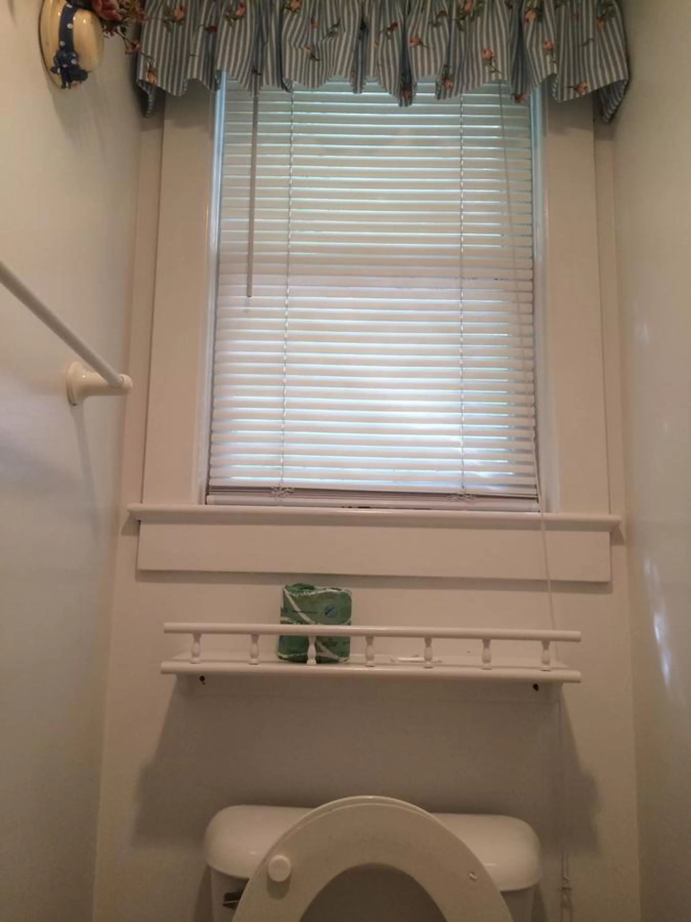 Toilet, Bathroom in Angie's Guest Cottage