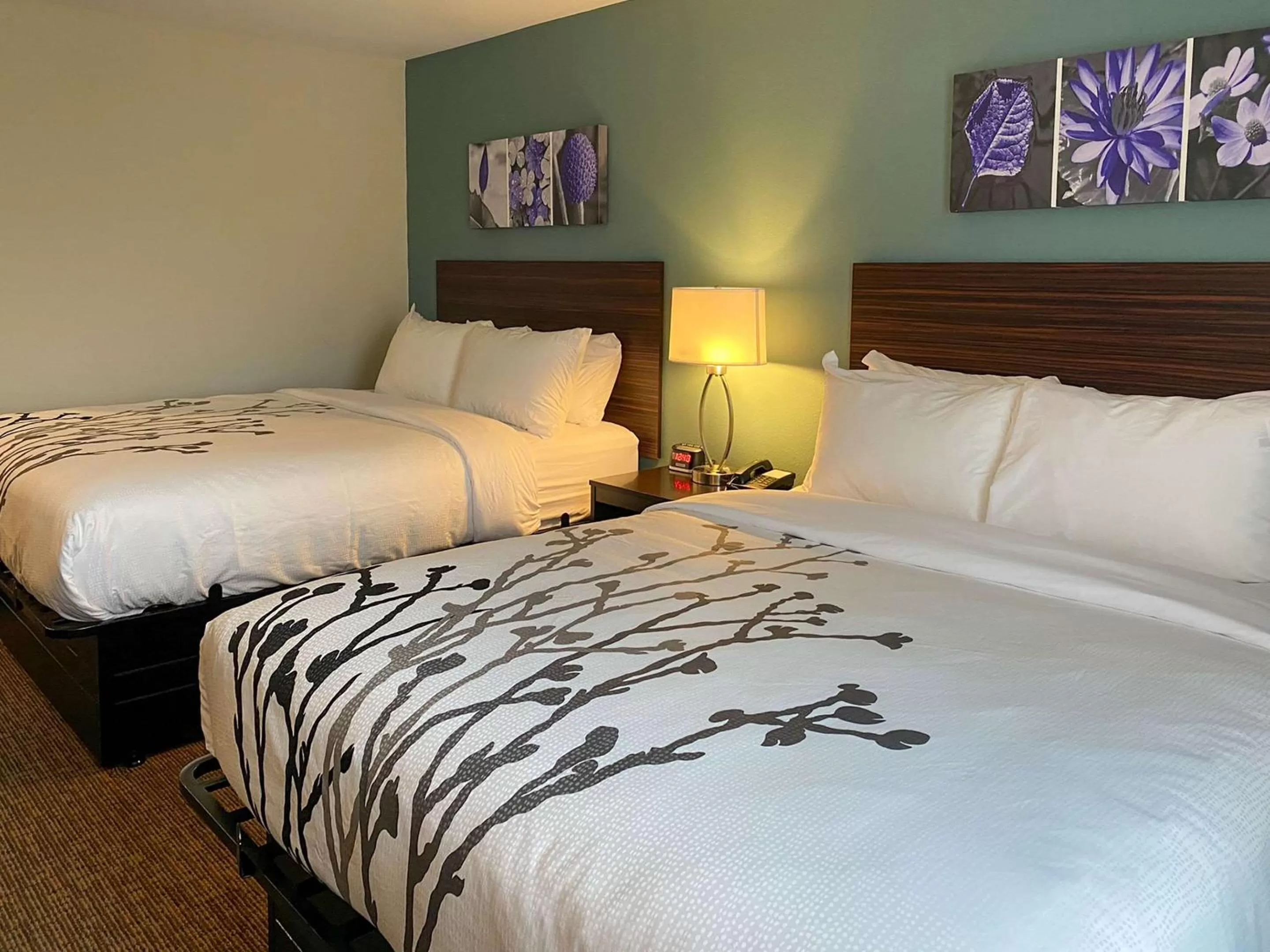 Bedroom, Bed in Sleep Inn Greensboro - Coliseum Area