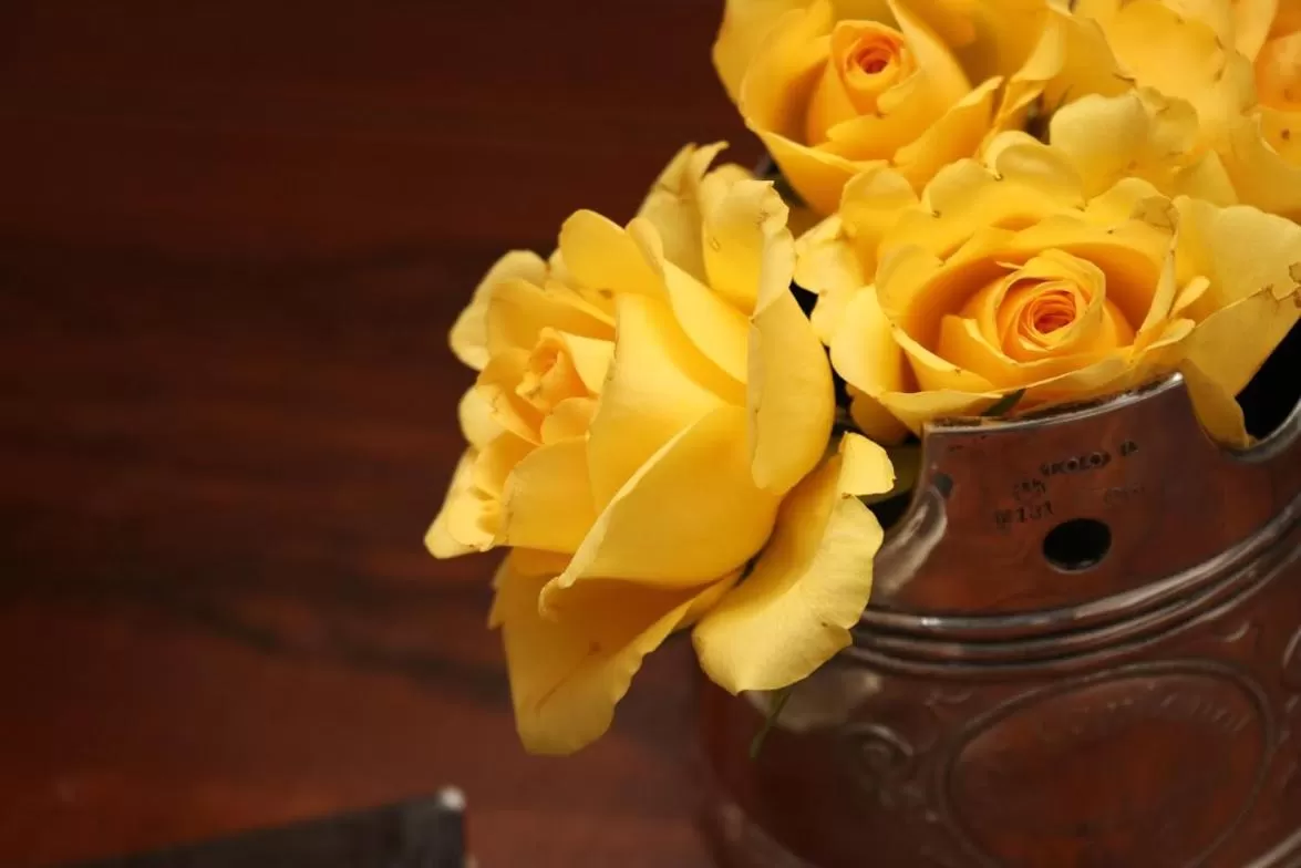 La Maison des Copains