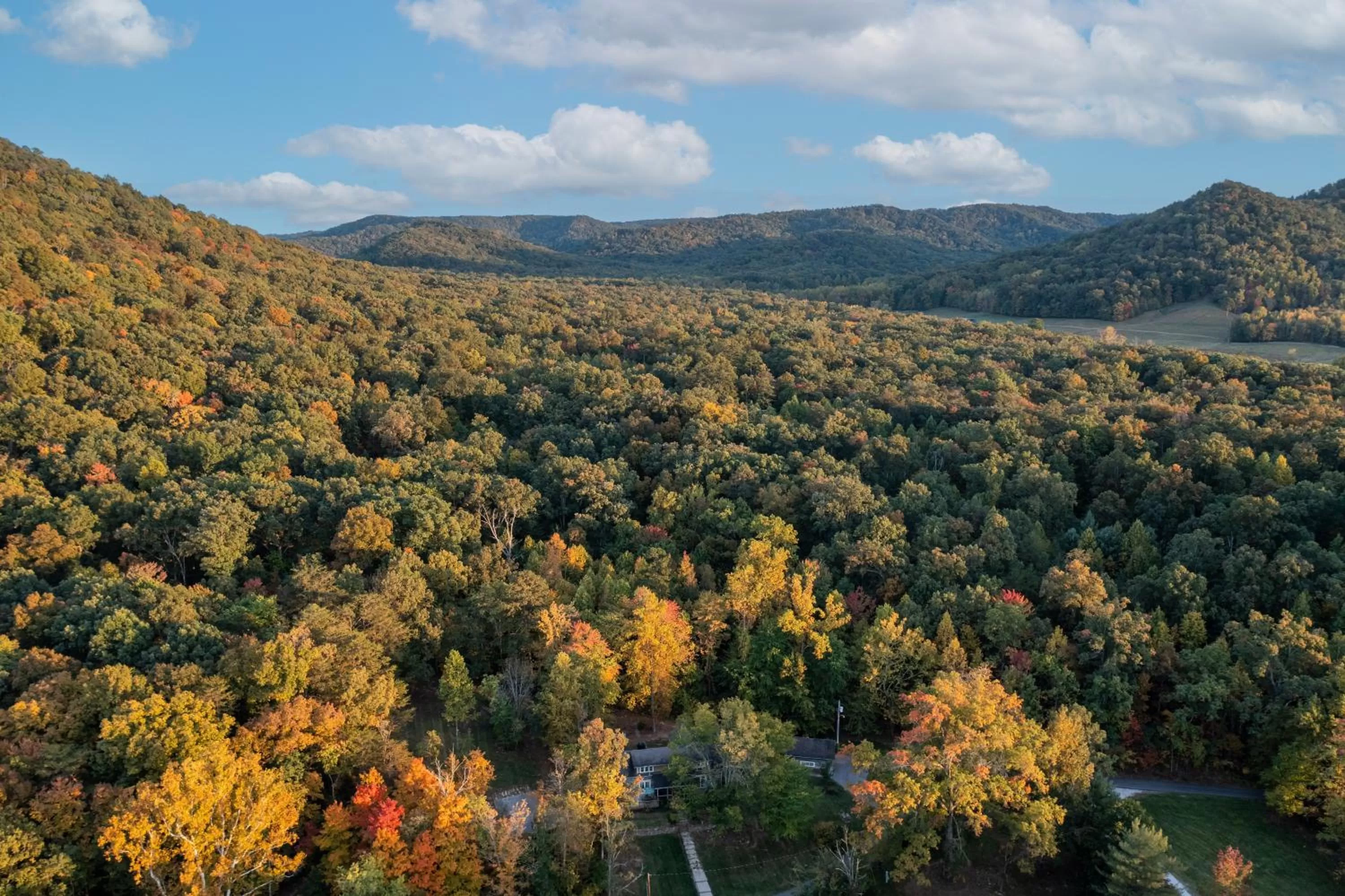 Natural landscape in Historic Boone Tavern