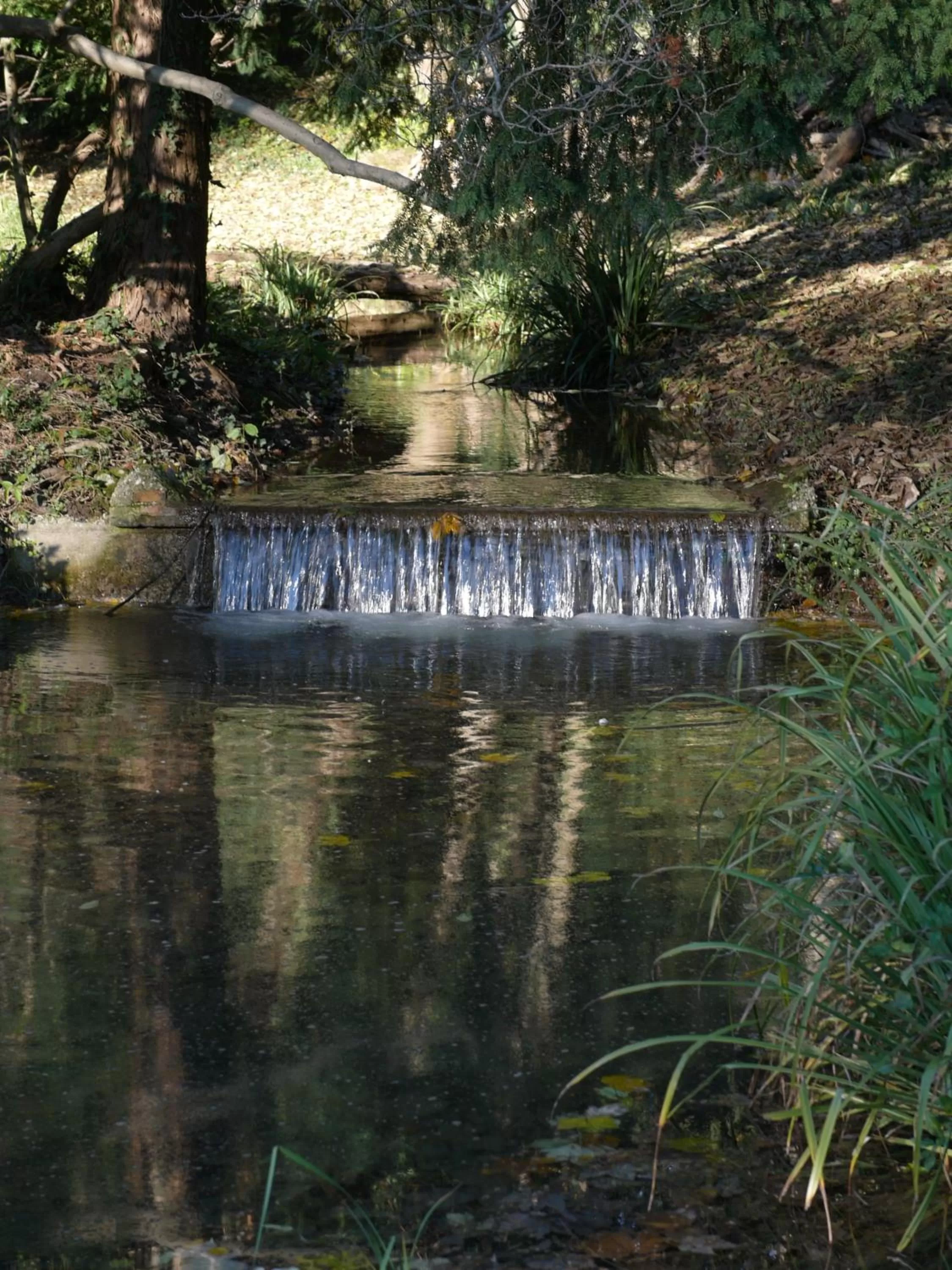 Garden in B&B Giardino Jappelli (Villa Ca' Minotto)