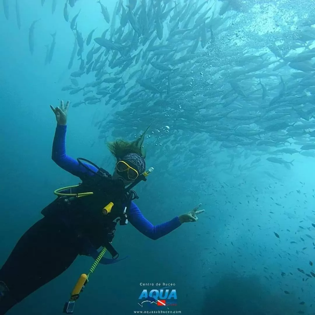 People, Snorkeling/Diving in Posada Turística Rocas De Cabo Marzo