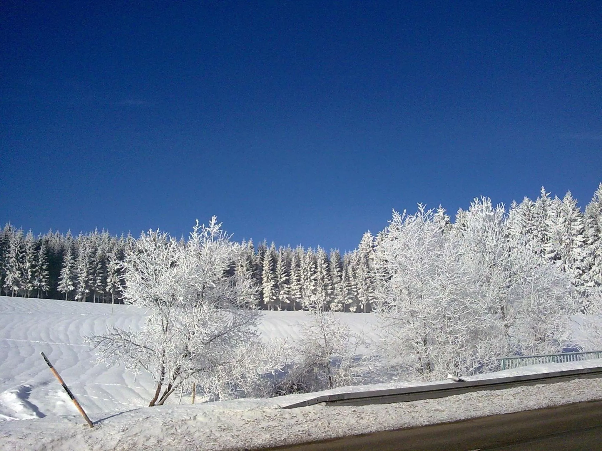 Natural landscape in ZUR TRAUBE Schwarzwaldhotel & Restaurant am Titisee