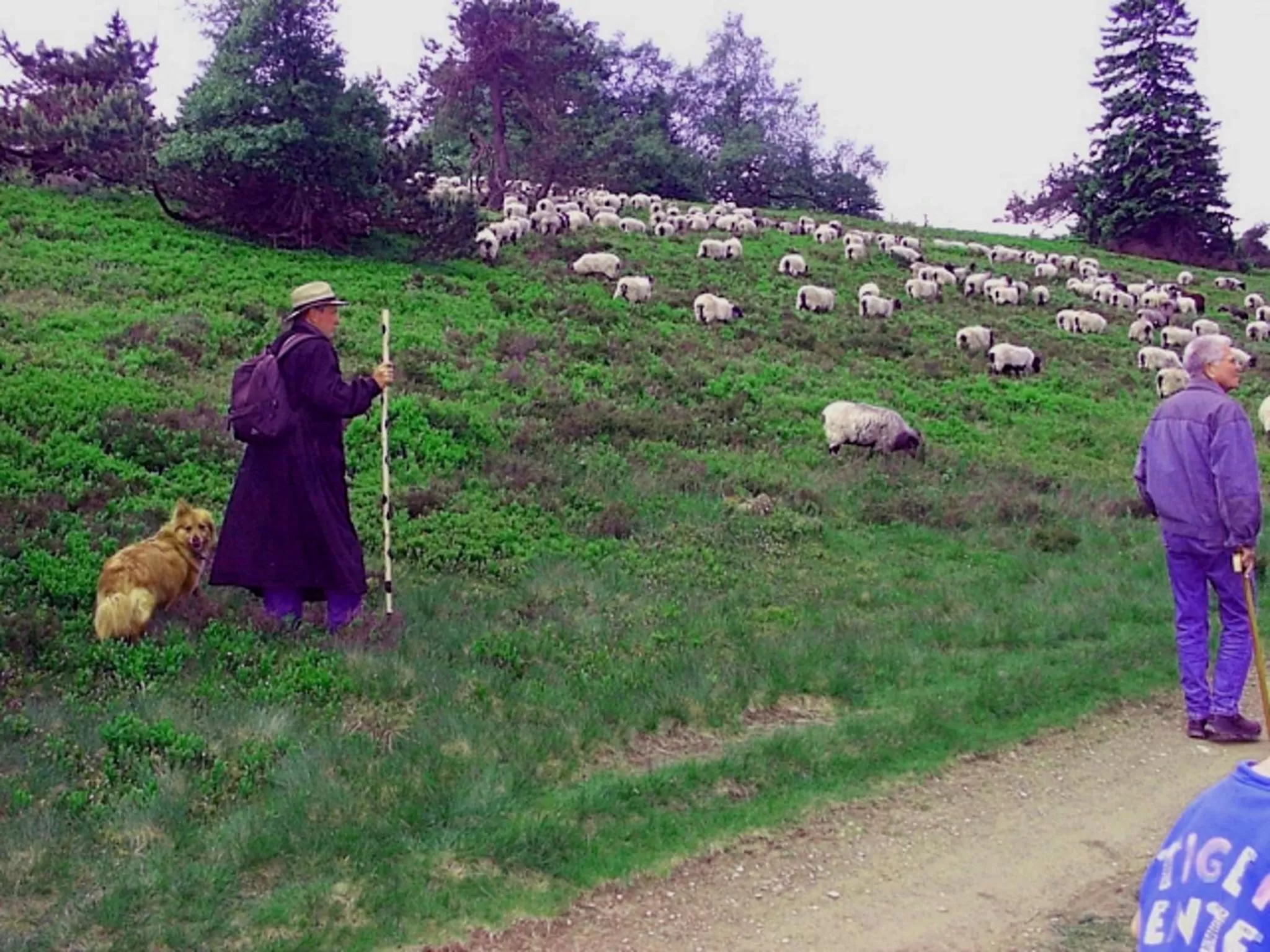 Spring in Heidehotel Hildfeld